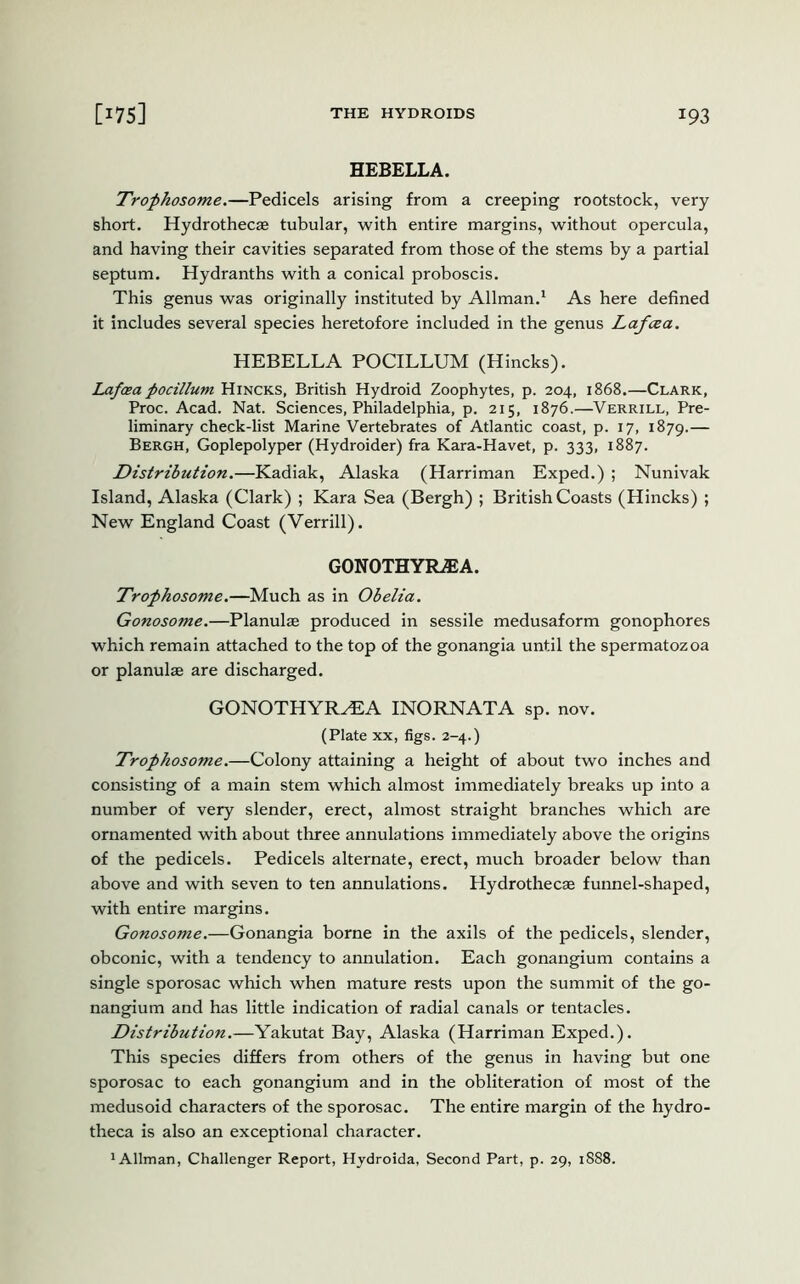 HEBELLA. Trophosome.—Pedicels arising from a creeping rootstock, very short. Hydrothecae tubular, with entire margins, without opercula, and having their cavities separated from those of the stems by a partial septum. Hydranths with a conical proboscis. This genus was originally instituted by Allman.1 As here defined it includes several species heretofore included in the genus Lafcea. HEBELLA POCILLUM (Hincks). Lafcea pocillum Hincks, British Hydroid Zoophytes, p. 204, 1868.—Clark, Proc. Acad. Nat. Sciences, Philadelphia, p. 215, 1876.—Verrill, Pre- liminary check-list Marine Vertebrates of Atlantic coast, p. 17, 1879.— Bergh, Goplepolyper (Hydroider) fra Kara-Havet, p. 333, 1887. Distribution.—Kadiak, Alaska (Harriman Exped.) ; Nunivak Island, Alaska (Clark) ; Kara Sea (Bergh) ; British Coasts (Hincks) ; New England Coast (Verrill). GONOTHYRASA. Trophosome.—Much as in Obelia. Gonosome.—Planulae produced in sessile medusaform gonophores which remain attached to the top of the gonangia until the spermatozoa or planulae are discharged. GONOTHYR^EA INORNATA sp. nov. (Plate xx, figs. 2-4.) Trophosome.—Colony attaining a height of about two inches and consisting of a main stem which almost immediately breaks up into a number of very slender, erect, almost straight branches which are ornamented with about three annulations immediately above the origins of the pedicels. Pedicels alternate, erect, much broader below than above and with seven to ten annulations. Hydrothecae funnel-shaped, with entire margins. Gonosome.—Gonangia borne in the axils of the pedicels, slender, obconic, with a tendency to annulation. Each gonangium contains a single sporosac which when mature rests upon the summit of the go- nangium and has little indication of radial canals or tentacles. Distribution.—Yakutat Bay, Alaska (Harriman Exped.). This species differs from others of the genus in having but one sporosac to each gonangium and in the obliteration of most of the medusoid characters of the sporosac. The entire margin of the hydro- theca is also an exceptional character. 1 Allman, Challenger Report, Hydroida, Second Part, p. 29, 1888.
