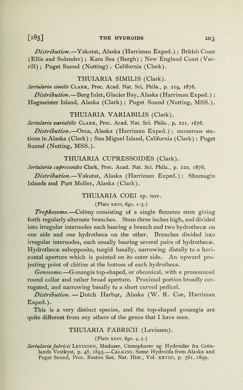 Distribution.—Yakutat, Alaska (Harriman Exped.) ; British Coast (Ellis and Solander) ; Kara Sea (Bergh) ; New England Coast (Ver- rill) ; Puget Sound (Nutting) ; California (Clark). THUIARIA SIMILIS (Clark). Sertularia similis Clark, Proc. Acad. Nat. Sci. Phila., p. 219, 1876. Distribution.—Berg Inlet, Glacier Bay, Alaska (Harriman Exped.) ; Hagmeister Island, Alaska (Clark) ; Puget Sound (Nutting, MSS.). THUIARIA VARIABILIS (Clark). Sertularia variabilis Clark, Proc. Acad. Nat. Sci. Phila., p. 221, 1876. Distribution.—Orca, Alaska (Harriman Exped.) ; numerous sta- tions in Alaska (Clark) ; San Miguel Island, California (Clark) ; Puget Sound (Nutting, MSS.). THUIARIA CUPRESSOIDES (Clark). Sertularia cupressoides Clark, Proc. Acad. Nat. Sci. Phila., p. 220, 1876. Distribution.—Yakutat, Alaska (Harriman Exped.) ; Shumagin Islands and Port Moller, Alaska (Clark). THUIARIA COEI sp. nov. (Plate xxvi, figs. 1-3.) Trophosome.—Colony consisting of a single flexuous stem giving forth regularly alternate branches. Stem three inches high, and divided into irregular internodes each bearing a branch and two hydrothecae on one side and one hydrotheca on the other. Branches divided into irregular internodes, each usually bearing several pairs of hydrothecae. Hydrothecae subopposite, turgid basally, narrowing distally to a hori- zontal aperture which is pointed on its outer side. An upward pro- jecting point of chitine at the bottom of each hydrotheca. Gonosome.—Gonangia top-shaped, or obconical, with a pronounced round collar and rather broad aperture. Proximal portion broadly cor- rugated, and narrowing basally to a short curved pedicel. Distribution. — Dutch Harbor, Alaska (W. R. Coe, Harriman Exped.). This is a very distinct species, and the top-shaped gonangia are quite different from any others of the genus that I have seen. THUIARIA FABRICII (Levinsen). (Plate xxiv, figs. 4, 5.) Sertularia fabricii Levinsen, Meduser, Ctenophorer og Hydroider fra Gron- lands Vestkyst, p. 48, 1893.—Calkins, Some Hydroida from Alaska and Puget Sound, Proc. Boston Soc. Nat. Hist., Vol. xxvm, p. 361, 1899.