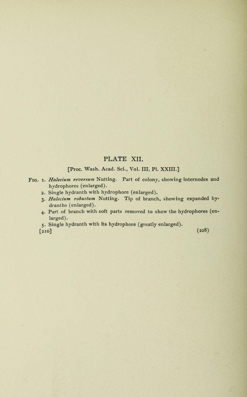 [Proc. Wash. Acad. Sci., Vol. Ill, PI. XXIII.] Fig. i. Halecium reversum Nutting. Part of colony, showing internodes and hydrophores (enlarged). 2. Single hydranth with hydrophore (enlarged). 3. Halecium robustum Nutting. Tip of branch, showing expanded hy- dranths (enlarged). 4. Part of branch with soft parts removed to show the hydrophores (en- larged). 5. Single hydranth with its hydrophore (greatly enlarged). [210] (228)