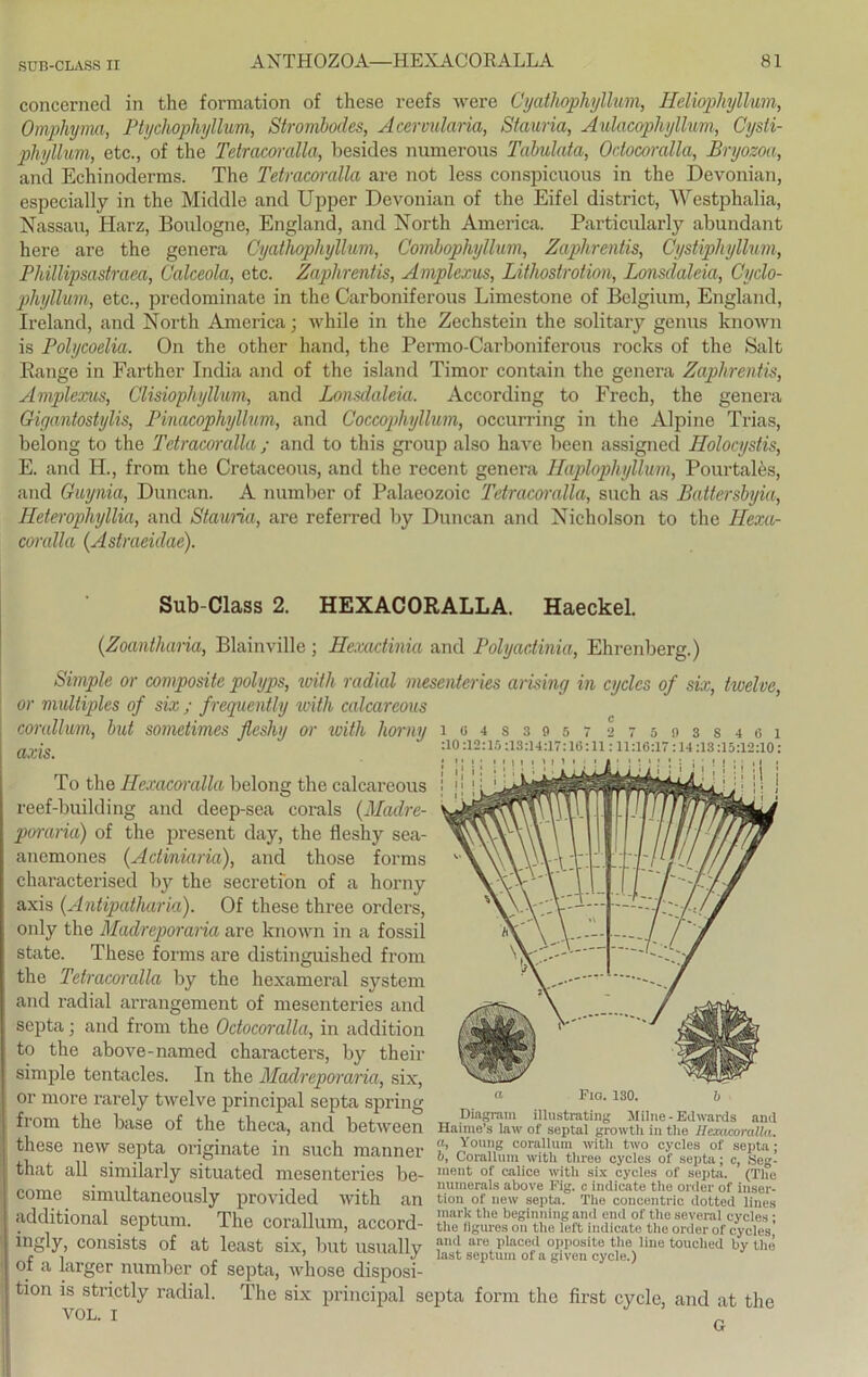 concerned in the formation of these reefs were Cyatkophyllum, Heliophyllum, Omphyma, Ptychophyllum, Strombodes, Acervularia, Stauria, Aulacophyllum, Cysti- phyllum, etc., of the Tetracoralla, besides numerous Tabulata, Odocoralla, Bryozoa, and Echinoderms. The Tetracoralla are not less conspicuous in the Devonian, especially in the Middle and Upper Devonian of the Eifel district, Westphalia, Nassau, Harz, Boulogne, England, and North America. Particularly abundant here are the genera Cyatkophyllum, Combophyllum, Zaphrentis, Cystiphyllum, Phillipsastraea, Calceola, etc. Zaphrentis, Amplexus, Lithostrotion, Lonsdaleia, Cyclo- phyllum, etc., predominate in the Carboniferous Limestone of Belgium, England, Ireland, and North America; while in the Zechstein the solitary genus known is Polycoelia. On the other hand, the Permo-Carboniferous rocks of the Salt Range in Farther India and of the island Timor contain the genera Zaphrentis, Amplexus, Clisiophyllum, and Lonsdaleia. According to Frech, the genera Gigantostylis, Pinacophyllum, and Coccophyllum, occurring in the Alpine Trias, belong to the Tetracoralla ; and to this group also have been assigned Holocystis, E. and H., from the Cretaceous, and the recent genera Haplopliyllum, Pourtales, and Guynia, Duncan. A number of Palaeozoic Tetraccrralla, such as Battersbyia, Heterophyllia, and Stauria, are referred by Duncan and Nicholson to the Hexa- coralla (Astraeidae). 104S3957 27503S461 :I0:12:15 ;13:14:17:16:11:11:16:17:14:13:15:12:10: • 1 I i M 1 Sub-Class 2. HEXACORALLA. Haeckel. (Zoantharia, Blainville ; Hexadinia and Polyadinia, Ehrenberg.) Simple or composite polyps, loith radial mesenteries arising in cycles of six, twelve, or multiples of six ; frequently with calcareous corallum, but sometimes fleshy or with horny axis. To the Hexacoralla belong the calcareous reef-building and deep-sea corals (Madre- poraria) of the present day, the fleshy sea- anemones (Adiniaria), and those forrns characterised by the secretion of a horny axis (Antipatliaria). Of these three Orders, only the Madreporaria are known in a fossil state. These forms are distinguished from the Tetracoralla by the hexameral System and radial arrangement of mesenteries and septa; and from the Odocomlla, in addition to the above-named characters, by their simple tentacles. In the Madreporaria, six, or more rarely twelve principal septa spring from the base of the theca, and between these new septa originate in such manner that all similarly situated mesenteries be- come simultaneously provided with an additional septum. The corallum, accord- ingty, consists of at least six, but usually of a larger number of septa, whose disposi- tion is strictly radial. The six principal septa form the first cyclc, and at the v°L. i 0 Diagram illustrating Jlilne- Edwards and Haime’s law of aeptal growth in the Hexacoralla. a, Young corallum rvith two cycles of septa; It, Corallum with three cycles of septa; c, Seg- ment of calice with six cycles of septa. (The uumerals above Fig. c indlcate the Order of inser- tion of new septa. The concentric dotted lines mark the beginningand end of theseveral cycles • the llguros on the left indicate the Order of cycles’ and are placed opposite the line touched by the last septum of a given cycle.)