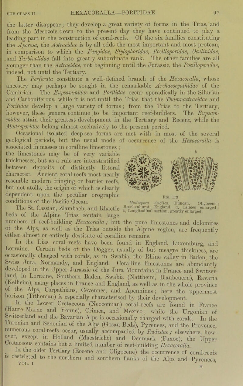 the latter disappear; they develop a great variety of forms in the Trias, and from the Mesozoic down to the present day they have continned to play a leading part in the construction of coral-reefs. Of the six families constituting the Aporosa, the Astraeiclae is by all odds the most important and most protean, in comparison to which the Fungidae, Styloplioridae, Focilloporidae, Oculinidae, and Turbinolidae fall into greatly subordinate rank. The othcr families are all younger than the Astraeidae, not beginning until the Jurassic, the Pocilloporidae, indeed, not until the Tertiary. The Pcrforata constitute a well-defined brauch of the Hexacoralla, whose ancestry may perhaps be sought in the remarkable Archaeocyathidae of the Cambrian. The Eupsammidae and Poritidae occur sporadically in the Silurian and Carboniferous, while it is not imtil the Trias that the Thamnastraeidae and Poritidae develop a large variety of forms; from the Trias to the Tertiary, however, these genera continue to be important reef-builders. The Eupsam- midae attain their greatest development in the Tertiary and Recent, ivliile the Madreporidae belong almost exclusively to the present period. Occasional isolatecl cleep-sea forms are met with in most of the sevcral geological periods, but the usual mode of associated in masses in coralline limestones ; the limestones may be of very variable thicknesses, but as a rule are interstratified between deposits of distinctly littoral character. Ancient coral-reefs most nearly resemble modern fringing or barrier reefs, but not atolls, the origin of which is clcarly dependcnt upon the peculiar orographic conditions of the Pacific Ocean. The St. Cassian, Zlambach, and Rhaetic beeis of the Alpine Trias contain large numbers of reef-building Hexacoralla ; but of the Alps, as well as the Trias outside occurrence of the Hexacoralla is Mudrepora Anglica, Duncan. Oligocene; Brockenhurst, England, a, Calices enlarged; l, Longitudinal seetion, greatly enlarged. either almost or entirely destitute of coralline remains. the pure limestones and dolomites the Alpine region, are frequently In the Lias coral-reefs have been found in England, Luxemburg, and Lorraine. Certain beds of the Dogger, usually of but meagre thickness, are occasionally charged with corals, as in Swabia, the Rhine valley in Baden, the Swiss Jura, Normandy, and England. Coralline limestones are abundantly developed in the Upper Jurassic of the Jura Mountains in France and Switzer- land, in Lorraine, Southern Baden, Swabia (Nattheim, Blaubeuern), Bavaria (Kelheim), many places in France and England, as well as in the whole province of the Alps, Carpathians, Cevennes, and Apennines; here the uppennost liorizon (Tithonian) is especially characterised by their development. In the Lower Cretaceous (Neocomian) coral-reefs are found in France (Haute-Marne and \onne), Crimea, and Mexico; while the Urgonian of witzei lancl and the Bavarian Alps is occasionally charged with corals. In the uronian and Senonian of the Alps (Gosau Beds), Pyrenees, and the Provence, numerous coral-reefs occur, usually accompaniecl by Pudistae; elsewhere, how- e\ci, exccpt in Holland (Maestricht) and Denmark (Faxoe), the Upper Cretaceous contains but a limited uumber of reef-building Hexacoralla. In the older Tertiary (Eocene and Oligocene) the occurrence of coral-reefs is restncted to the northern and Southern flanks of the Abis and Pyrenees vol. i „ ' ’