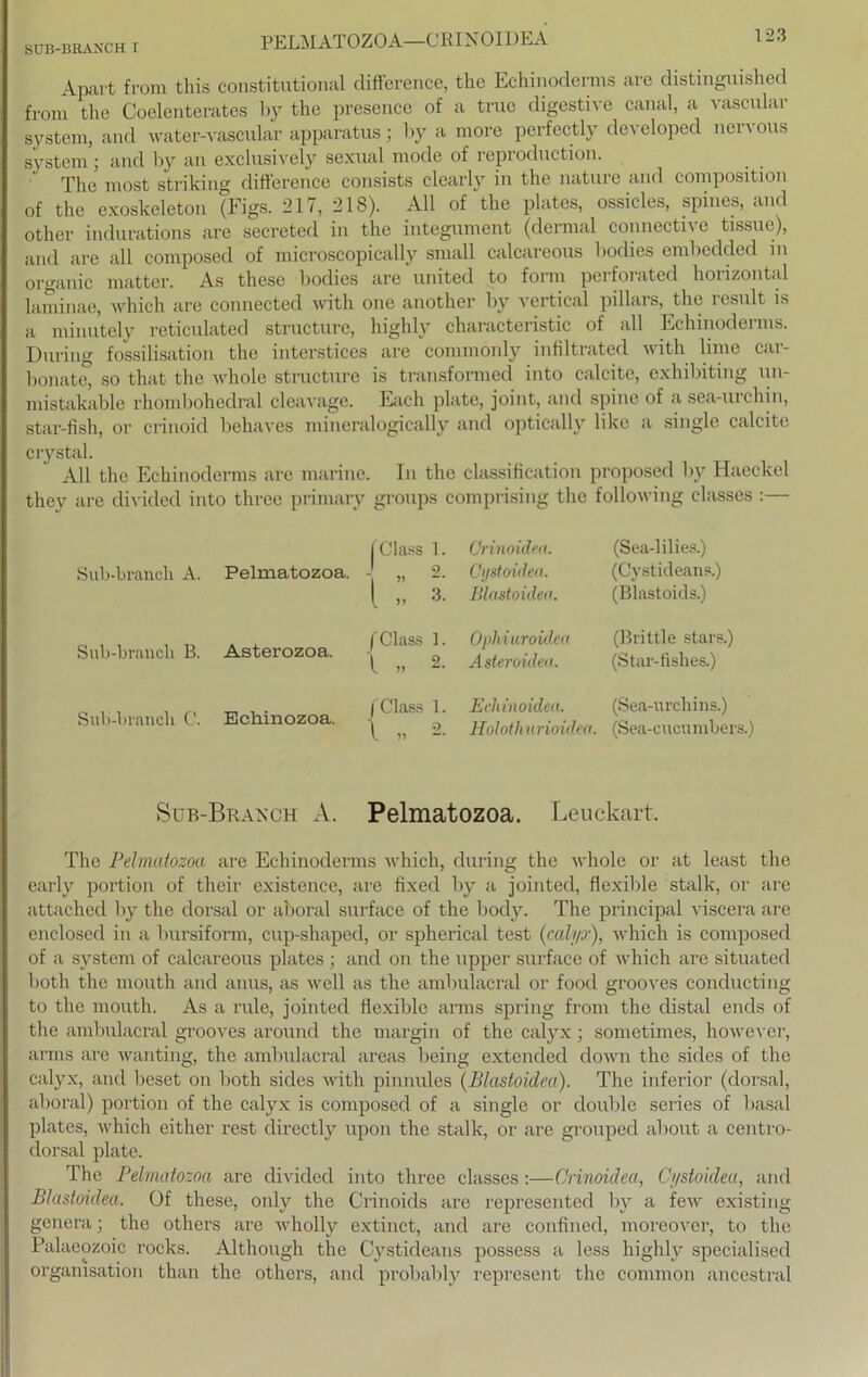 SUB-BRAXCH I PELMATOZOA—CRINOIDEA Apart from this constitutional clifference, the Echinoderms are distinguished from the Coelenteratcs by the presence of a truc digestive canal, a vascular System, and water-vascular apparatus; by a more perfectly developed nervous System; and by an exclusively sexual mode of reproduction. The most striking diflerence consists clearly in the nature and composition of the exoskeleton (Figs. 217, 218). All of the plates, ossicles, spines, and other indurations are secreted in the integument (dermal connective tissue), and are all composed of microscopically small calcareous bodies embedded in organic matter. As these bodies are United to form peifoiated hoiizontcd laminae, which are connected with one another by vertical pillars, the rcsult is a minutely reticulated structure, highly characteristic of all Echinoderms. Düring fossilisation the interstices are commonly infiltrated with lime car- bonate, so that the whole structure is transformed into calcite, exhibiting un- mistakable rhombohedral cleavage. Fach plate, joint, and spine of a sea-urchin, star-fish, or crinoid behaves mincralogically and optically like a single calcite crystal. All the Echinoderms are marine. In the Classification proposed by Haeckcl they are divided into three primary groups comprising the following classes :— fClass 1. Crinoidea. (Sea-lilies.) Sub-brancli A. Pelmatozoa. J 9 Cystoideu. (Cysticleans.) l ,, 3. Blastoidea. (Blastoids.) Sub-brancli B. Asterozoa. (dass 1. \ „ 2. Opliiuroidea Asteroiden. (Brittle stars.) (Star-fishes.) Sub-brancli C. Echinozoa. fClass 1. 1 „ 2. Echinoidea. Holoth urioidea. (Sea-urchins.) (Sea-cucumbers.) Sub-Branch A. Pelmatozoa. Leuckart. The Pelmatozoa are Echinoderms which, during the whole or at least the early portion of tlieir existence, are fixed by a jointed, flexible stalk, or are attachecl by the dorsal or aboral surface of the body. The principal viscera are enclosed in a bursiform, cup-shaped, or spherical test (cah/.r), which is composed of a System of calcareous plates ; and on the upper surface of which are situated both the mouth and anus, as well as the ambulacral or food grooves conducting to the mouth. As a rule, jointed flexible arms spring from the distal ends of the ambulacral grooves around the margin of the calyx; sometimes, however, arms are wanting, the ambulacral areas being extendecl down the sicles of the calyx, and beset on both sides with pinnules (Blastoidea). The inferior (dorsal, aboral) portion of the calyx is composed of a single or double series of basal plates, which either rest directly upon the stalk, or are grouped about a centro- dorsal plate. The Pelmatozoa are divided into three classes:—Crinoidea, Cystoideu, and Blastoidea. Of these, only the Crinoids are represented by a few existing genera; the others are wholly extinct, and are confined, moreover, to the Palaeozoic rocks. Although the Cysticleans possess a less highly specialised Organisation than the others, and probably represent the common ancestral