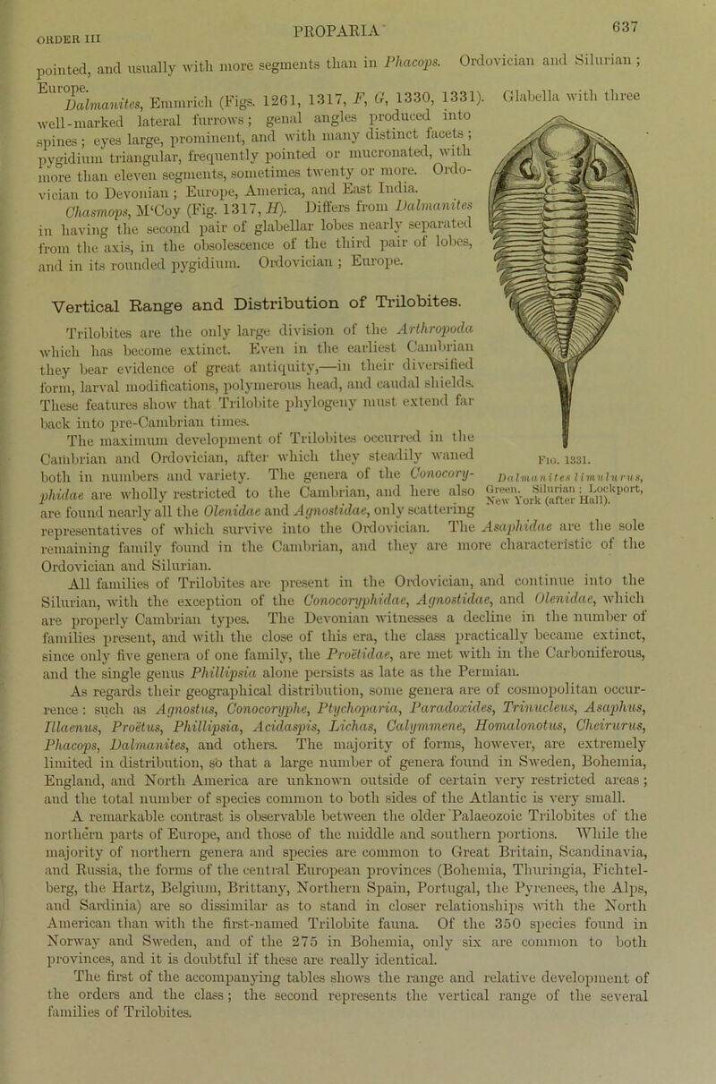 pointed, and usually with inore segments tlian in Phacops. Dalmanites, Emmricli (Figs. 1261, 1317, F, G, 1330, 1331). well -marked lateral furrows; genal angles produced mto spines; eyes large, prominent, and with many distinct iaeets ; pygidium triangulär, frequently pointed or mucronated, with inore tlian eleven segments, sometimes twenty or more. Ordo- vieian to Devoniau; Europe, America, and East India. Ghasmops, M‘Coy (Fig. 1317, H). Differs from Dalmanites in liaving the seeond pair of glahellar lobes nearly separated from the axis, in the obsolescence of the tliird pair ot lobes, Ordovician and Silurian Glabella with three and in its rounded py rgidiuin. Ordovician; Enrope. FlO. 1331. Dalma nites limulurus, Green. Silurian ; Loekport, New York (after Hall). Vertical Range and Distribution of Trilobites. Trilobites are the only large division of the Arthropoda wliieli has become extinct. Even in the earliest Cambrian tliey bear evidence of great antiquity,—in tlieir diversified form, larval moditieations, polymerous liead, and caudal shields. These features show tliat Trilobite phylogeny must extend far back into pre-Cambrian times. The maximum development of Trilobites oeeurred in the Cambrian and Ordovician, after wliieli tliey steadily waned both in numbers and variety. The genera ot the Gonocury- phidae are wliolly restricted to the Cambrian, and liere also are found nearly all the Olenidae and Agnostidae, only scattering representatives of wliieli survive into the Ordovician. The Asaphidae are the sole remaining faniily found in the Cambrian, and tliey are more characteristic ol the Ordovician and Silurian. All families of Trilobites are present in the Ordovician, and continue into the Silurian, with the exeeption of the Gonocoryphidae, Agnostidae, and Olenidae, wliieli are properly Cambrian types. The Devonian witnesses a decline in the number of families present, and with the close of tliis era, the dass practically became extinct, since only live genera of one family, the Proetidae, are met with in the Carboniferous, and the single genus Phillipsia alone persists as late as the Permian. As regards tlieir geographical distribution, soine genera are of cosmopolitan occur- rence: such as Agnostus, Gonocoryphe, Ptychoparia, Paradoxides, Trinucleus, Asaphus, Tllaenus, Proetus, Phillipsia, Acidaspis, Lichas, Calymmene, Homalonotus, Cheirurus, Phacops, Dalmanites, and others. The majority of forms, however, are extremely limited in distribution, s'o that a large number of genera found in Sweden, Bohemia, England, and North America are unknown outside of certain very restricted areas; and the total number of species common to both sides of the Atlantic is very small. A remarkable contrast is observable between the older Palaeozoic Trilobites of the nortliern parts of Europe, and tliose of the middle and Southern portions. While the majority of nortliern genera and species are common to Great Britain, Scandinavia, and Russia, the forms of the central European provinces (Boliemia, Thuringia, Fichtel- berg, the Hartz, Belgium, Brittany, Northern Spain, Portugal, the Pyrenees, the Alps, and Sardinia) are so dissimilar as to stand in closer relationships with the North American tlian with the first-named Trilobite fauna. Of the 350 species found in Norway and Sweden, and of the 275 in Boliemia, only six are common to both provinces, and it is doubtful if tliese are really identical. The first of the accompanying tables shows the ränge and relative development of the ordere and the dass; the seeond represents the vertical ränge of the several families of Trilobites.