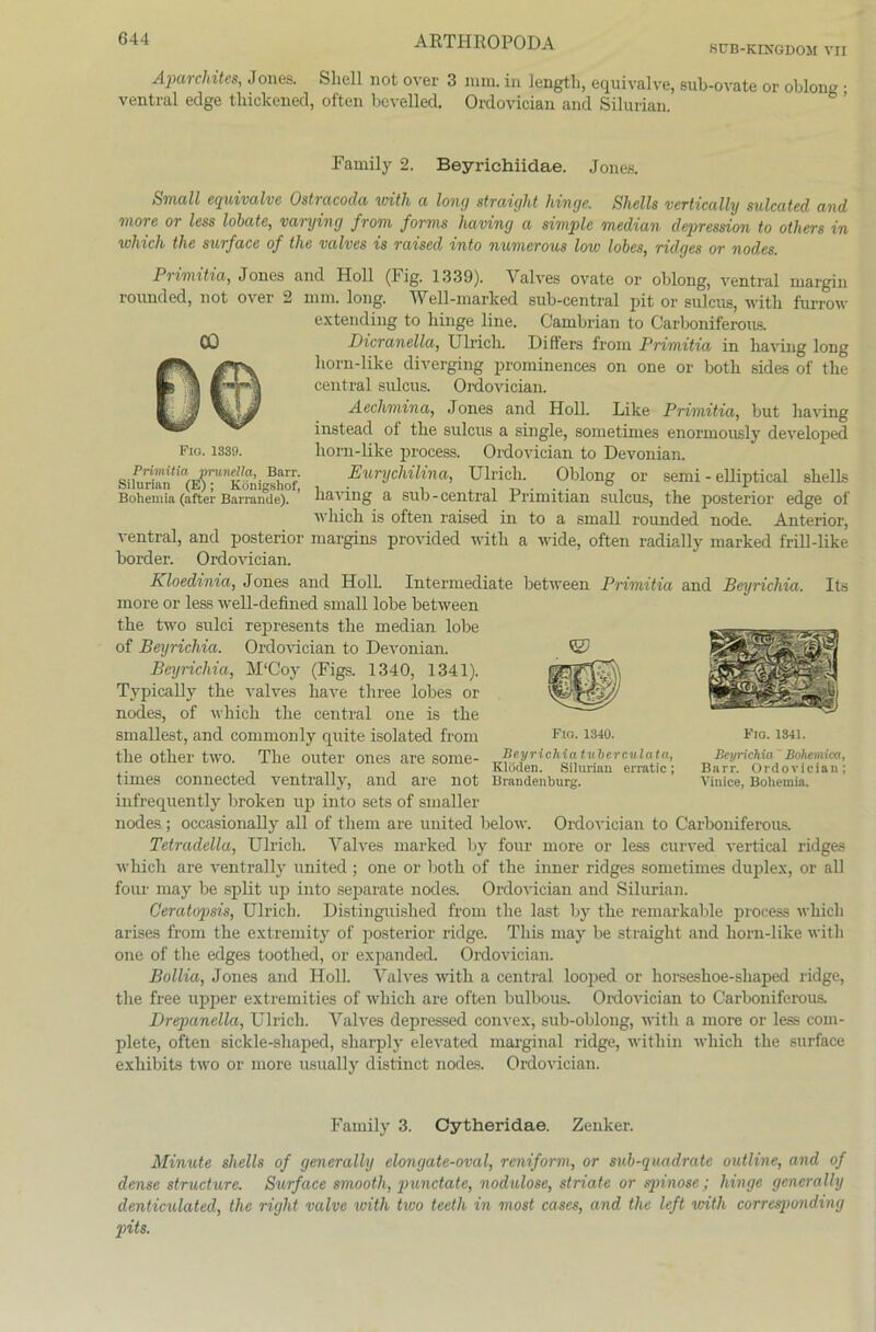SCB-KINGDOM VII Aparchites, Jones. Shell not over 3 mm. in length, equivalve, sub-ovate or oblong • ventral edge thickened, often bevelled. Ordovician and Silurian. Fio. 1339. Primitia prunella, Barr. Silurian (E); Königshof, Bohemia (after Barrande). Family 2. Beyrichiidae. Jones. Small equivalve Ostracoda with a lang straight hinge. Shells vertically sulcated and more or less lohate, varying from forms having a simple median depression to others in which the surface of the valves is raised into numerous low lobes, ridges or nodes. Primitia, Jones and Holl (Fig. 1339). Valves ovate or oblong, ventral margin rounded, not over 2 mm. long. Well-marked sub-central pit or sulcus, with furrow extending to hinge line. Cambrian to Carboniferous. Dicranella, Ulrich. Difters from Primitia in having long horn-like diverging prominences on one or both sides of the central sulcus. Ordovician. Aechmina, Jones and Holl. Like Primitia, but having instead of the sulcus a single, sometimes enormously developed horn-like process. Ordovician to Devonian. Eurychilina, Ulrich. Oblong or semi - elliptical shelLs having a sub- central Primitian sulcus, the posterior edge of which is often raised in to a small rounded node. Anterior, ventral, and posterior margins provided with a wide, often radially marked frill-like border. Ordovician. Kloedinia, Jones and Holl. Intermediate between Primitia and Beyrichia. Its more or less well-defined small lobe between the two sulci represents the median lobe of Beyrichia. Ordovician to Devonian. Beyrichia, M'Coy (Figs. 1340, 1341). Typically the valves have three lobes or nodes, of which the central one is the smallest, and commonly quite isolated from the other two. The outer ones are some- times connected ventrally, and are not infrequently broken up into sets of smaller nodes ; occasionally all of them are United below. Ordovician to Carboniferous. Tetradellu, Ulrich. Valves marked by four more or less curved vertical ridges which are ventrally United ; one or both of the inner ridges sometimes duplex, or all four may be split up into separate nodes. Ordovician and Silurian. Geratopsis, Ulrich. Distinguished from the last by the remarkable process which arises from the extremity of posterior ridge. This may be straight and horn-like with one of the edges toothed, or expanded. Ordovician. Bollia, Jones and Holl Valves with a central looped or horseshoe-shaped ridge, the free upper extremities of which are often bulbous. Ordovician to Carboniferous. Drepanella, Ulrich. Valves depressed convex, sub-oblong, with a more or less com- plete, often sickle-shaped, sharply elevated marginal ridge, within which the surface exliibits two or more usually distinct nodes. Ordovician. Fio. 1340. Beyrichiatubcrculata, Klöden. Silurian erratic; Brandenburg. b*-Steffl Fio. 1341. Beyrichia' Bohemica, Barr. Ordovician; Vinice, Bohemia. Family 3. Cytheridae. Zenker. Minute Shells of generally elongate-oval, reniform, or sub-quadrate outline, and of dense structure. Surface smooth, punctate, nodulose, striate or spinöse; hinge generally denticulated, the right valve with two teeth in most cases, and the left with corresponding pits.