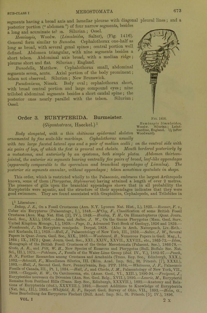 se^ments having a broad axis and lamellar pleurae with diagonal pleural lines ; and a posterior portion (“ abdomen ”) of four narrow segments, besides a long and aeuminate tel m. Silurian ; Oesel. Hemiaspis, Woodw. (Limuloides, Salter), (Fig. 1416). General form similar to Bunodes. Cephalotliorax one-balf as long as broad, with several genal spines; central portion well defined. Abdomen triangulär, witli nine segments besides a short telson. Abdominal axis broad, with a median ridge ; pleurae sliort and flat. Silurian ; England. Bunodella, Matthew. Cephalotliorax small, abdominal segments seven, acute. Axial portion of the body prominent; telson not observed. Silurian ; New Brunswick. Pseudoniscus, Nieszk. Body oval; cephalotliorax short, with broad central portion and large compound eyes ; nine trilobed abdominal segments besides a short caudal spine; the posterior ones nearly parallel with the telson. Silurian; Oesel. Order 3. EURYPTERIDA. Burmeister. fio. l-ue. (digantostraca, Haeckel.)' wardine, England, i/i (after Body elongated, with a thin chitinous epidermal skeleton Woodward). ornamented by fine scale-like marlcings. Cephalothorax usually with two large faceted lateral eyes and a pair of median ocelli; on the ventral side with six pairs of legs, of luhich the first is preoral and chelate. Mouth bordered posteriorly by a metastoma, and anteriorly by an epistoma, both simple phites. Abdomen thirteen- jointed, the anterior six segments bearing ventrally five pairs of broad, leaf-like appendages (apparently comparable to the operculum and branchial appendages of Limulus). The posterior six segments annular, without appendages ; telson sometimes spatulate in shape. This Order, wliicli is restricted wholly to the Palaeozoic, embraces the largest Arthropods known, some of them (Pterygotus, Stylonurus) having attained a length of over 2 metres. The presence of gills upon the branchial appendages shows that in all probability the Eurypterids were aquatic, and the structure of their appendages indicates that they were good swimmers. They are found associated with Graptolites, Cephalopods, and Trilobites in L1 Literature : Dekay, J. E., On a Fossil Crustacean (Ann. N.Y. Lyceum Nat. Hist., I.), 1825.—lioemer, F. v., Ueber ein Eurypterus (Palaeontogr., I.), 1848.—APCoy, F., Classification of some British Fossil Crustacea (Anu. Mag. Nat. Hist. [2], IV.), 1849.—Huxley, T. II., On Himantopterus (Quar. Journ. Geol. Soc., XXI.), 1856.—Idem, and Salter, J. W., On tlie Genus Pterygotus (Mem. Geol. Surv. United Kingdom Monogr., I.), 1859.—Page, D., Advanced Text-Book of Geology, 1856 and 1859.— Nieszkowski, J., De Euryptero remipedo. Dorpat, 1858. (Also in Arch. Naturgesch. Liv.-Esth.- und Kurlands, II.), 1859.—Hall, J., Palaeontology of New York, III., 1859.—Salter, J. W., Several Papers in Quar. Journ. Geol. Soc., XIX., 1863.— Woodward, II., Numerous Papers in Geol. Mag., I., 1864 ; IX., 1872 ; Quar. Journ. Geol. Soc., XXI., XXIV., XXVII., XXVIII., etc., 1865-72.—Idem, Monograph of the British Fossil Crustacea of the Order Merostomata (Palaeont. Soc.), 1866-78.— Grote, A. R., and Pitt, IF. II., New Species of Eusarcus and Pterygotus (Bull. Buffalo Soc. Nat. Sei., III.), 1875.—Pohlman, J., Fossils of the Water-Lime Group (ibid. IV., V.), 1882-97.—Peach, B. N., Further Researches ainong Crustacea and Araclmida (Trans. Roy. Soc., Edinburgh, XXX.), 1882. —Schmidt, F., Miscellanea Silurica, III. (Mem. Acad. Imp. Sei., St. Petersb. [7], XXXI.), 1883. —Hall, J., Second Geol. Surv. Pennsylvania, Rep. PPP. 1884.— Whiteaves, J. F., Palaeozoic Fossils of Canada, III., Pt. 1, 1884.—Hall, J., and Clarke, J. AI., Palaeontology of New York, VII., 1888. Claypole, E. W., On Carcinosoma, etc. (Amer. Geol., VI., XIII.), 1890-94.—Fraipont, J., Eurypterides nouveaux du Devonien (Ann. Soc. Geol. Belg., XVII.), 1S90.—Laurie, AI., Eurypterid Remains from Pentland Hills (Trans. Roy. Soc., Edinburgh, XXXVII.), 1892.—Auatomy and Rela- tions of Eurypterida (ibid.), XXXVIII.), 1893.—Recent Additions to Knowledge of Eurypterida (Nat. Sei., III.), 1893.— Whitfield, R. P., Report Geol. Survey of Ohio, VII., 1893.—Holm, G., Neue Bearbeitung des Eurypterus Fischen (Bull. Acad. Imp. Sei., St. Petersb. [5], IV.), 1896. VOL. I 2 X