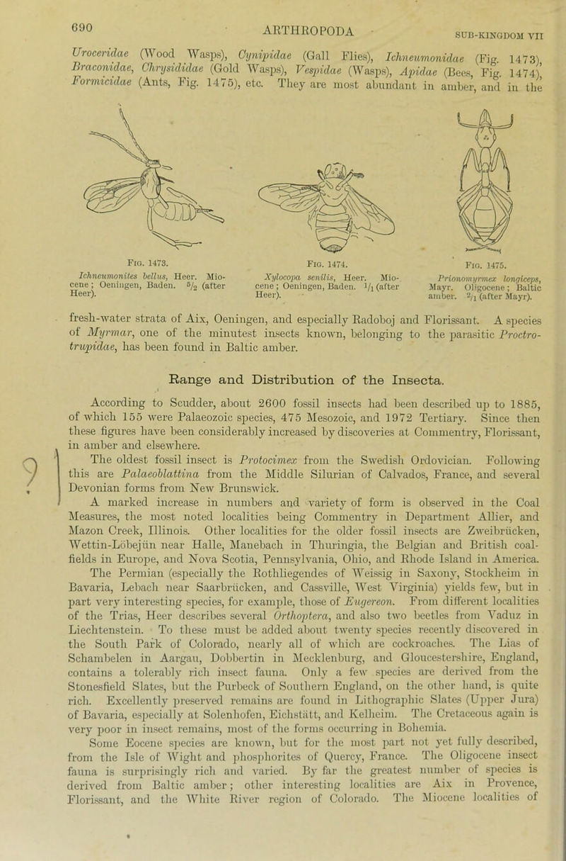 SUB-K1NGDOM VII Uroceridae (\\ ood Wasps), Cynipidae (Gail Flies), Ichneumonidae (Fig. 1473) Braconidae, Ohrysididae (Gold Wasps), Vespidae (Wasps), Apidae (Beos Fig 1474)' Formicidae (Ante, Fig. 1475), etc. Tliey are most abundant in amber, and in tlie Fio. 1473. Ichncumonües bellus, Heer. Mio- cene ; Oeningen, Baden. g/2 (alter Heer). Xylocopa senilis, Heer. Mio-, eene ; Oeningen, Baden. !/l (alter Heer). Fio. 1475. Prionomyrmex longiceps, Mayr. Oligocene; Baltic amber. -n (after Mayr). fresh-water strata of Aix, Oeningen, and especially Radoboj and Florissant. A species of Myrrnar, one of tlie minutest insects known, belonging to the parasitic Proctro- trupidae, lias been found in Baltic amber. Range and Distribution of the Insecta. According to Scudder, about 2600 fossil insects liad been described np to 1885, of wliich 155 were Palaeozoic species, 475 Mesozoic, and 1972 Tertiary. Since tlien these figures liave been considerably increased by discoveries at Commentry, Florissant, in amber and elsewhere. The oldest fossil insect is Protocimex front the Swedisli Ordovician. Following this are Palaeoblattina from the Middle Silurian of Calvados, France, and several De vornan forms from New Brunswick. A marked increase in numbers and variety of form is observed in the Coal Measures, the most noted localities being Commentry in Department Allier, and Mazon Creek, Illinois. Other localities for the older fossil insects are Zweibrücken, Wettin-Löbejün near Halle, Manebach in Thuringia, the Belgian and British coal- fields in Europe, and Nova Scotia, Pennsylvania, Ohio, and Rhode Island in America. The Permian (especially the Rotliliegendes of Weissig in Saxony, Stockheim in Bavaria, Lebaeh near Saarbrücken, and Cassville, West Virginia) yields few, but in part very interesting species, for example, tliose of Eugereon. From different localities of the Trias, Heer deseribes several Ortlioptera, and also two beetles from Vaduz in Liechtenstein. To these must be added about twenty species recently discovered in the South Park of Colorado, nearly all of wliich are cockroaelies. The Lias of Schambelen in Aargau, Dobbertin in Mecklenburg, and Gloucestersliire, England, contains a tolerably rieh insect fauna. Only a few species are derived from the Stonesfield Slates, but the Purbeck of Southern England, on the other liand, is quite rieh. Excellently preserved remains are found in Lithographie Slates (Upper Jura) of Bavaria, especially at Solenhofen, Eichstätt, and Kelheim. The Cretaceous again is very poor in insect remains, most of the forms oecurring in Bohemia. Some Eocene species are known, but for the most part not yet fully described, from the Isle of Wight and pliosphorites of Quercy, France. The Oligocene insect fauna is surprisingly rieh and varied. By far the greatest number ol species is derived from Baltic amber; other interesting localities are Aix in Provence, Florissant, and the White River region of Colorado. The Miocene localities of