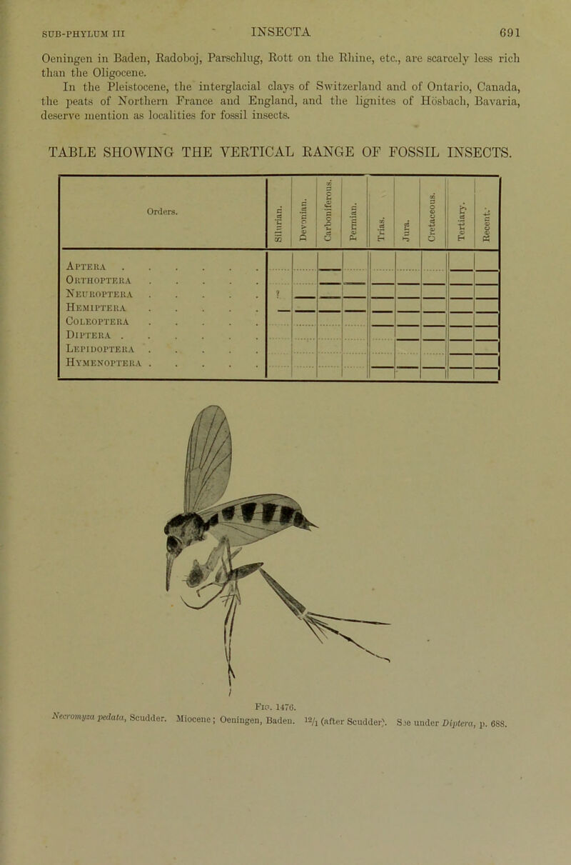 Oeningen in Baden, Radoboj, Parsclilug, Rott on the Rhine, etc., are scarcely less rieh tlian the Oligocene. In the Pleistocene, the interglacial clays of Switzerland and of Ontario, Canada, the peats of Northern France and England, and the lignites of Hösbach, Bavaria, deserve mention as localities for fossil insects. TABLE SHOWING THE YERTICAL RANGE OF FOSSIL INSECTS. Orders. Silurian. Devonlan. Carboniferous. Permian. Trias. Jura. Cretaceous. Tertiary. Recent..' Aptera Orthoptera Neuroptera ? Hemiptera COLEOPTERA Diptera Lepidoptera Hymenoptera * 1 Fie. 1476. Necrmyza pedata, Scudder. Miocene; Oeningen, Baden. m/x (after Scudder). Sjb under Diptera, p. 688,