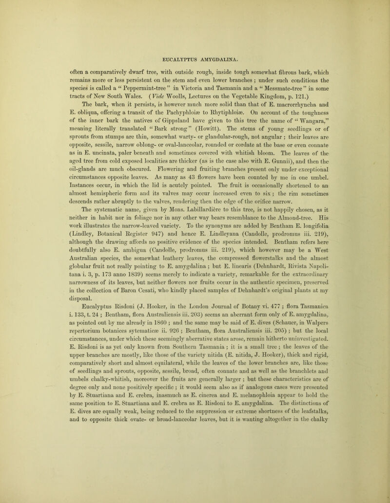 often a comparatively dwarf tree, with outside rough, inside tough somewhat fibrous hark, which remains more or less persistent on the stem and even lower branches ; under such conditions the species is called a “ Peppermint-tree ” in Victoria and Tasmania and a “ Messmate-tree ” in some tracts of New South Wales. ( Vide Woolls, Lectures on the Vegetable Kingdom, p. 121.) The bark, when it persists, is however much more solid than that of E. macrorrhyncha and E. obliqua, offering a transit of the Pacliyphloise to Rhytipldoiee. On account of the toughness of the inner bark the natives of Gippsland have given to this tree the name of “ Wangara,” meaning literally translated “ Bark strong ” (Howitt). The stems of young seedlings or of sprouts from stumps are thin, somewhat warty- or glandular-rough, not angular : their leaves are opposite, sessile, narrow oblong- or oval-lanceolar, rounded or cordate at the base or even connate as in E. uncinata, paler beneath and sometimes covered with whitish bloom. The leaves of the aged tree from cold exposed localities are thicker (as is the case also with E. Gunnii), and then the oil-glands are much obscured. Flowering and fruiting branches present only under exceptional circumstances opposite leaves. As many as 43 flowers have been counted by me in one umbel. Instances occur, in which the lid is acutely pointed. The fruit is occasionally shortened to an almost hemispheric form and its valves may occur increased even to six ; the rim sometimes descends rather abruptly to the valves, rendering then the edge of the orifice narrow. The systematic name, given by Mons. Labillardihre to this tree, is not happily chosen, as it neither in habit nor in foliage nor in any other way bears resemblance to the Almond-tree. His work illustrates the narrow-leaved variety. To the synonyms are added by Bentham E. longifolia (Lindley, Botanical Register 947) and hence E. Lindleyana (Candolle, prodromus iii. 219), although the drawing affords no positive evidence of the species intended. Bentham refers here doubtfully also E. ambigua (Candolle, prodromus iii. 219), which however may be a West Australian species, the somewhat leathery leaves, the compressed flowerstalks and the almost globular fruit not really pointing to E. amygdalina ; but E. linearis (Dehnhardt, Rivista Napoli- tana i. 3, p. 173 anno 1839) seems merely to indicate a variety, remarkable for the extraordinary narrowness of its leaves, but neither flowers nor fruits occur in the authentic specimen, preserved in the collection of Baron Cesati, who kindly placed samples of Dehnhardt’s original plants at my disposal. Eucalyptus Risdoni (J. Hooker, in the London Journal of Botany vi. 477 ; flora Tasmanica i. 133, t. 24 ; Bentham, flora Australiensis iii. 203) seems an aberrant form only of E. amygdalina, as pointed out by me already in 1860 ; and the same may be said of E. dives (Schauer, in Walpers repertorium botanices sytematicas ii. 926 ; Bentham, flora Australiensis iii. 205) ; but the local circumstances, under which these seemingly aberrative states arose, remain hitherto uninvestigated. E. Risdoni is as yet only known from Southern Tasmania ; it is a small tree ; the leaves of the upper branches are mostly, like those of the variety nitida (E. nitida, J. Hooker), thick and rigid, comparatively short and almost equilateral, while the leaves of the lower branches are, like those of seedlings and sprouts, opposite, sessile, broad, often connate and as well as the branclilets and umbels chalky-whitish, moreover the fruits are generally larger ; but these characteristics are of degree only and none positively specific ; it would seem also as if analogous cases were presented by E. Stuartiana and E. crebra, inasmuch as E. cinerea and E. melanophloia appear to hold the same position to E. Stuartiana and E. crebra as E. Risdoni to E. amygdalina. The distinctions of E. dives are equally weak, being reduced to the suppression or extreme shortness of the leafstalks, and to opposite thick ovate- or broad-lanceolar leaves, but it is wanting altogether in the chalky
