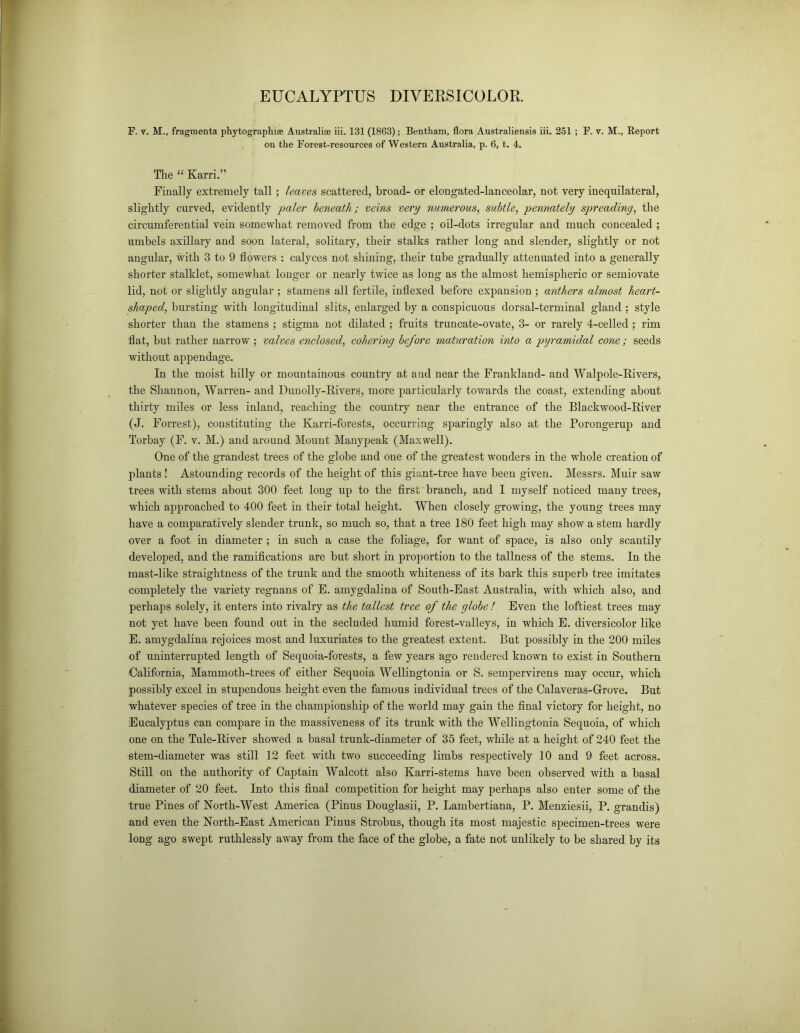 EUCALYPTUS DIVERSICOLOR. F. v. M., fragmenta phytographise Australia iii. 131 (1863); Bentham, flora Australiensis iii. 251 ; F. v. M\, Report on the Forest-resources of Western Australia, p. 6, t. 4. The “ Karri.” Finally extremely tall; leaves scattered, broad- or elongated-lanceolar, not very inequilateral, slightly curved, evidently paler beneath; veins very numerous, subtle, pennately spreading, the circumferential vein somewhat removed from the edge ; oil-dots irregular and much concealed ; umbels axillary and soon lateral, solitary, their stalks rather long and slender, slightly or not angular, with 3 to 9 flowers ; calyces not shining, their tube gradually attenuated into a generally shorter stalklet, somewhat longer or nearly twice as long as the almost hemispheric or semiovate lid, not or slightly angular ; stamens all fertile, indexed before expansion; anthers almost heart- shaped, bursting with longitudinal slits, enlarged by a conspicuous dorsal-terminal gland : style shorter than the stamens ; stigma not dilated ; fruits truncate-ovate, 3- or rarely 4-celled; rim flat, but rather narrow ; valves enclosed, cohering before maturation into a pyramidal cone; seeds without appendage. In the moist hilly or mountainous country at and near the Frankland- and Walpole-Rivers, the Shannon, Warren- and Dun oily-Rivers, more particularly towards the coast, extending about thirty miles or less inland, reaching the country near the entrance of the Blackwood-River (J. Forrest), constituting the Karri-forests, occurring sparingly also at the Porongerup and Torbay (F. v. M.) and around Mount Manypeak (Maxwell). One of the grandest trees of the globe and one of the greatest wonders in the whole creation of plants ! Astounding records of the height of this giant-tree have been given. Messrs. Muir saw trees with stems about 300 feet long up to the first branch, and I myself noticed many trees, which approached to 400 feet in their total height. When closely growing, the young trees may have a comparatively slender trunk, so much so, that a tree 180 feet high may show a stem hardly over a foot in diameter ; in such a case the foliage, for want of space, is also only scantily developed, and the ramifications are but short in proportion to the tallness of the stems. In the mast-like straightness of the trunk and the smooth whiteness of its bark this superb tree imitates completely the variety regnans of E. amygdalina of South-East Australia, with which also, and perhaps solely, it enters into rivalry as the tallest tree of the globe ! Even the loftiest trees may not yet have been found out in the secluded humid forest-valleys, in which E. diversicolor like E. amygdalina rejoices most and luxuriates to the greatest extent. But possibly in the 200 miles of uninterrupted length of Sequoia-forests, a few years ago rendered known to exist in Southern California, Mammoth-trees of either Sequoia Wellingtonia or S. sempervirens may occur, which possibly excel in stupendous height even the famous individual trees of the Calaveras-Grove. But whatever species of tree in the championship of the world may gain the final victory for height, no Eucalyptus can compare in the massiveness of its trunk with the Wellingtonia Sequoia, of which one on the Tule-River showed a basal trunk-diameter of 35 feet, while at a height of 240 feet the stem-diameter was still 12 feet with two succeeding limbs respectively 10 and 9 feet across. Still on the authority of Captain Walcott also Karri-stems have been observed with a basal diameter of 20 feet. Into this final competition for height may perhaps also enter some of the true Pines of North-West America (Pinus Douglasii, P. Lambertiana, P. Menziesii, P. grandis) and even the North-East American Pinus Strobus, though its most majestic specimen-trees were long ago swept ruthlessly away from the face of the globe, a fate not unlikely to be shared by its