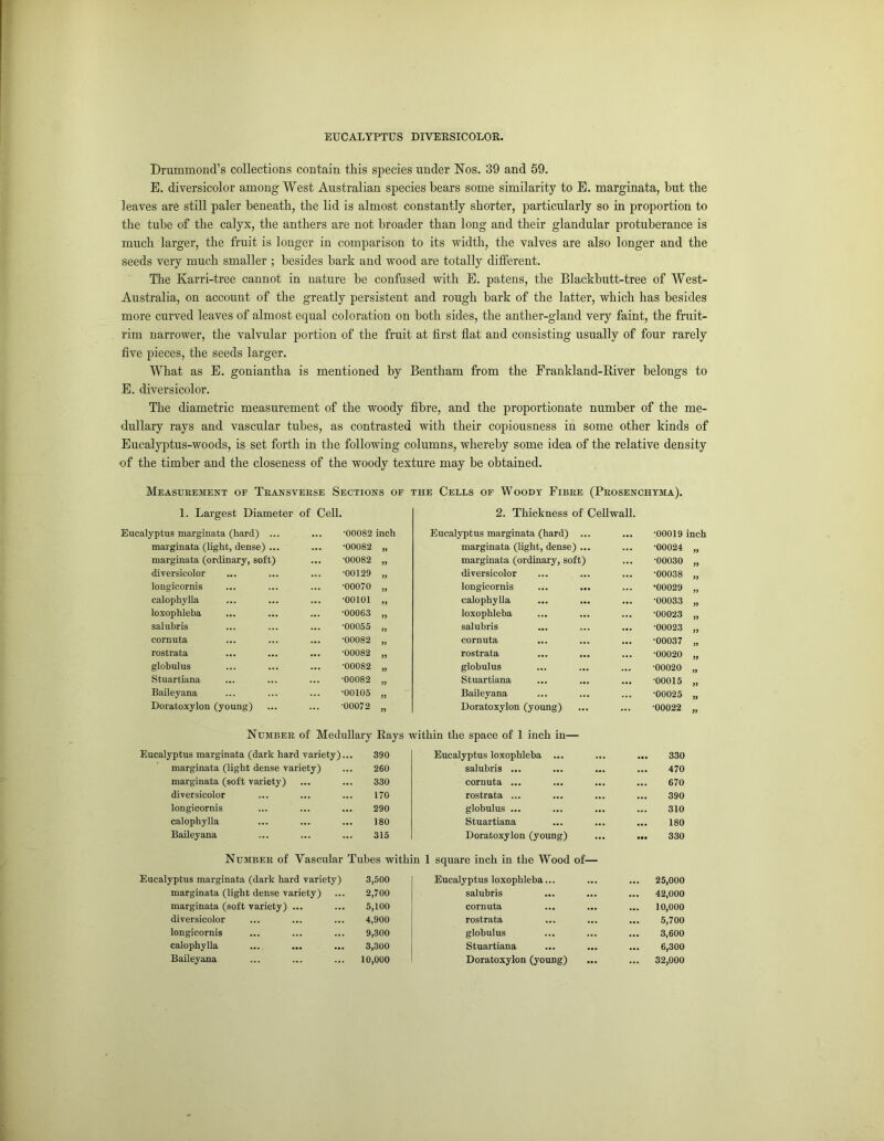 Drummond’s collections contain this species under Nos. 39 and 59. E. diversicolor among West Australian species hears some similarity to E. marginata, hut the leaves are still paler beneath, the lid is almost constantly shorter, particularly so in proportion to the tube of the calyx, the anthers are not broader than long and their glandular protuberance is much larger, the fruit is longer in comparison to its width, the valves are also longer and the seeds very much smaller ; besides hark and wood are totally different. The Karri-tree cannot in nature he confused with E. patens, the Blackbutt-tree of West- Australia, on account of the greatly persistent and rough hark of the latter, which has besides more curved leaves of almost equal coloration on both sides, the anther-gland very faint, the fruit- rim narrower, the valvular portion of the fruit at first flat and consisting usually of four rarely five pieces, the seeds larger. What as E. goniantha is mentioned by Bentham from the Frankland-Biver belongs to E. diversicolor. The diametric measurement of the woody fibre, and the proportionate number of the me- dullary rays and vascular tubes, as contrasted with their copiousness in some other kinds of Eucalyptus-woods, is set forth in the following columns, whereby some idea of the relative density of the timber and the closeness of the woody texture may be obtained. Measurement of Transverse Sections of the Cells of Woody Fibre (Prosenchyma). 1. Largest Diameter of Cell. 2. Thickness of Cellwall. Eucalyptus marginata (hard) ... 00082 inch Eucalyptus marginata (hard) ... •00019 inch marginata (light, dense) ... 00082 „ marginata (light, dense) ... •00024 99 marginata (ordinary, soft) 00082 „ marginata (ordinary, soft) •00030 9y di versicolor 00129 „ di versicolor •00038 99 longicornis 00070 „ longicornis •00029 99 calophylla 00101 „ calophylla •00033 99 loxophleba 00063 „ loxophleba •00023 99 salubris 00055 „ salubris •00023 99 cornuta 00082 „ cornuta •00037 99 rostrata 00082 „ rostrata •00020 99 globulus 00082 „ globulus •00020 99 Stuartiana 00082 „ Stuartiana •00015 99 Baileyana ... ... 00105 „ Baileyana •00025 99 Doratoxylon (young) 00072 „ Doratoxylon (young) •00022 99 Number of Medullary Rays within the space of 1 inch in— Eucalyptus marginata (dark hard variety) 390 Eucalyptus loxophleba ... 330 marginata (light dense variety) 260 salubris ... 470 marginata (soft variety) 330 cornuta ... 670 diversicolor 170 rostrata ... 390 longicornis 290 globulus ... 310 calophylla 180 Stuartiana 180 Baileyana 315 Doratoxylon (young) ... ... 330 Number of Vascular Tubes within 1 square inch in the Wood of— Eucalyptus marginata (dark hard variety) 3,500 Eucalyptus loxophleba... 25,000 marginata (light dense variety) 2,700 salubris 42,000 marginata (soft variety) ... 5,100 cornuta 10,000 di versicolor 4,900 rostrata 5,700 longicornis 9,300 globulus 3,600 calophylla 3,300 Stuartiana 6,300 Baileyana 10,000 Doratoxylon (young) 32,000