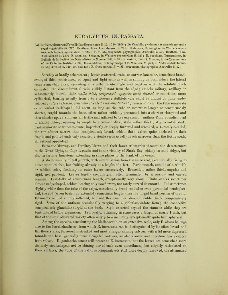 EUCALYPTUS INCRASSATA. Labillardiere, plantarum Novae Holkndise specimen ii. 12,1.150 (1806); De Candolle, prodronius svstematis naturalis regni vegetabilis iii. 217 ; Bentkam, flora Australiensis iii. 231; E. dumosa, Cunningham in Walpers reper- torium botanices systematicse ii. 925 ; F. v. M., fragmenta phytographiae Australise ii. 59; Bentham, flora Australiensis iii. 230; E. angulosa, Schauer, in Walpers repertorium ii. 925 ; E. cuspidata, Turczaninow, in Bulletin de la Societe des Naturalistes de Moscou 1849, ii. 21; E. costata, Bebr & Mueller, in the Transactions of the Yictorian Institute i. 33 ; E. santalifolia, E. lamprocarpa et E. Muelleri, Miquel, in Nederlandisk Kruid- kundig Archief iv. 129, 130 and 133; E. fruticetorum, F. v. M., fragmenta phytographise Australise ii. 57. Shrubby or hardly arborescent; leaves scattered, ovate- or narrow-lanceolar, sometimes broad- ovate, of thick consistence, of equal and light color as well as shining on both sides ; the lateral veins somewhat close, spreading at a rather acute angle and together with the oil-dots much concealed, the circumferential vein visibly distant from the edge ; umbels solitary, axillary or subsequently lateral, their stalks thick, compressed, upwards much dilated or sometimes more cylindrical, bearing usually from 3 to 8 flowers ; stalklets very short or almost or quite unde- veloped ; calyces shining, generally streaked with longitudinal prominent lines, the tube semiovate or somewhat bellshaped ; lid about as long as the tube or somewhat longer or conspicuously shorter, turgid towards the base, often rather suddenly protracted into a short or elongated and then slender apex ; stamens all fertile and indexed before expansion ; anthers from roundish-oval to almost oblong, opening by ample longitudinal slits ; style rather thick ; stigma not dilated ; fruit semiovate or truncate-ovate, imperfectly or deeply furrowed and streaked, 3-4- rarely 5-celled, the rim oftener narrow than conspicuously broad, seldom flat ; valves quite enclosed or their fragile and pointed ends only exserted ; sterile seeds usually much narrower than the fertile seeds, all without appendage. From the Murray- and Darling-Rivers and their lower tributaries through the desert-tracts to the Great Bight, to Cape Leeuwin and to the vicinity of Shark-Bay, chiefly on sand-ridges, but also on tertiary limestone, extending in some places to the brink of the ocean. A shrub usually of tall growth, with several stems from the same root, exceptionally rising to a tree up to 30 feet, but fruiting already at a height of 4 feet. Bark smooth, outside of a whitish or reddish color, shedding its outer layers successively. Branchlets rather thick, augular and rigid, not pendent. Leaves hardly inequilateral, often terminated by a narrow and curved acumen. Leafstalks of conspicuous length, exceptionally very short. Umbel-stalks sometimes almost wedgeshaped, seldom bearing only two flowers, not rarely curved downward. Lid sometimes slightly wider than the tube of the calyx, occasionally broad-conical or even pyramidal-hemispher- ical, the end (when beak-like extended) sometimes longer than the turgid basal portion of the lid. Filaments in bud simply inflected, but not flexuous, nor sharply doubled back, comparatively rigid. Some of the anthers occasionally verging to a globular-cordate form ; the connective conspicuously glandular-turgid at the back. Style exserted beyond the stamens while they are bent inward before expansion. Fruit-calyx attaining in some cases a length of nearly 1 inch, but that of the small-flowered variety often only £ to ^ inch long, exceptionally quite hemispherical. Among the species, constituting the Mallee-scrub on an extensive scale, only E. oleosa belongs also to the Parallelantherm, from which E. incrassata can be distinguished by its often broad and flat flowerstalks, furrowed or streaked and mostly larger shining calyces, with a lid more depressed towards the base, generally more elongated anthers, as also shorter and therefore less exserted fruit-valves. E. goniantha comes still nearer to E. incrassata, but the leaves are somewhat more distincly sickleshaped, not so shining nor of such even smoothness, but slightly reticulated on their surfaces, the tube of the calyx is comparatively still more deeply furrowed, the attenuated