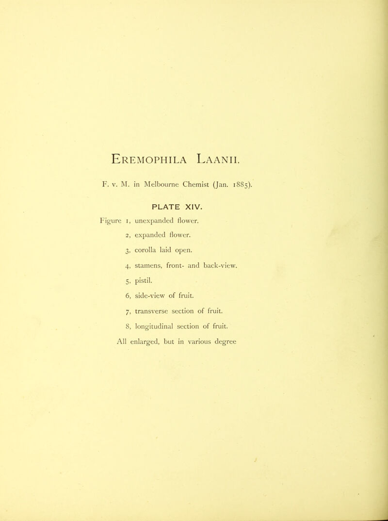 Eremophila Laanii. F. v. M. in Melbourne Chemist (Jan. 1885). PLATE XIV. Figure 1, unexpanded flower. 2, expanded flower. 3, corolla laid open. 4, stamens, front- and back-view. 5, pistil. 6, side-view of fruit. 7, transverse section of fruit. 8, longitudinal section of fruit.