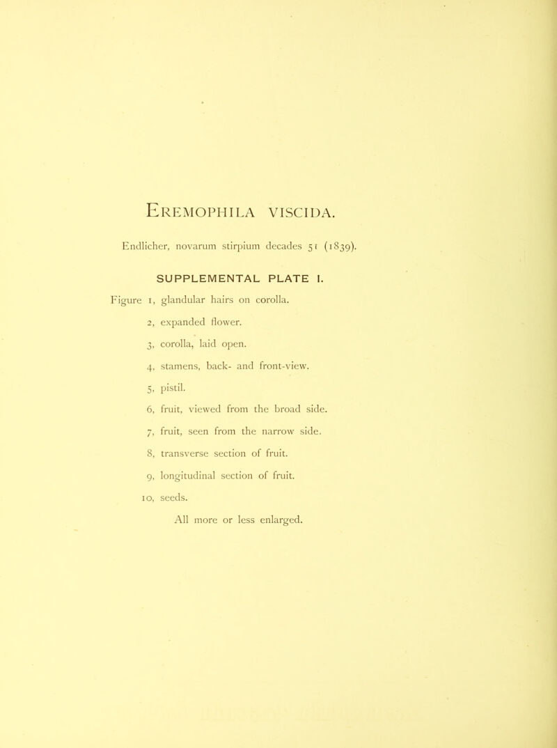 Endlicher, novarum stirpium decades 51 (18 SUPPLEMENTAL PLATE I. Figure i, 2 4> 5> 6, 7> 8, 9- glandular hairs on corolla. expanded flower. corolla, laid open. stamens, back- and front-view. pistil. fruit, viewed from the broad side, fruit, seen from the narrow side, transverse section of fruit, longitudinal section of fruit. 10, seeds.