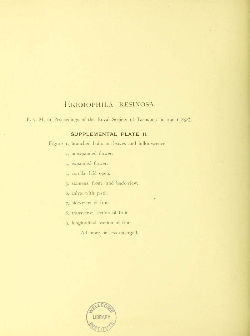 Eremophila resinosa. F. v. M. in Proceedings of the Royal Society of Tasmania iii. 296 (1858). SUPPLEMENTAL PLATE II. Figure 1, 2 4. a- 6, 7. 3, 9. branched hairs on leaves and inflorescence. unexpanded flower. expanded flower. corolla, laid open. stamens, front- and back-view. calyx with pistil. side-view of fruit. transverse section of fruit. longitudinal section of fruit. O