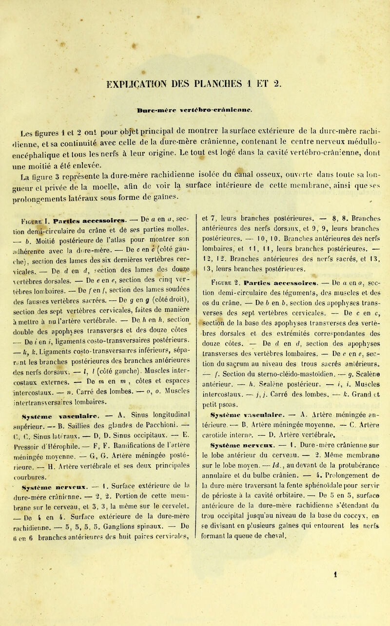 Ilurc-mère verlohro-crrtnii iiiio. Les figures 1 et 2 ont pour ofrpfet principal de montrer lasurface extérieure de la dure-mère rachi- dienne et sa continuité avec celle de la dure-mère crânienne, contenant le centre nerveux médullo- encéphalique et tous les nerfs à leur origine. Le tout est logé dans la cavité vertébro-crànienne, dont une moitié a été enlevée. La figure 3 représente la dure-mère rachidienne isolée du canal osseux, ouverte dans toute sa lon- gueur eL privée de la moelle, afin de voir la surface intérieure de cette membrane, ainsi que ses prolongements latéraux sous forme de gaines. Figure I. Parties accessoires. —• De a en u, sec- tion demi-circulaire du crâne et dé ses parties molles. — b. Moitié postérieure de l’atlas pour montrer son adhérence avec la dr.re-mère. — De c en c (côté gau- che) . seciion des lames des six dernières vertèbres cer- vicales. — De d en d, section des lames des douze vertèbres dorsales. — De c en e, section des cinq ver- tèbres lombaires. — De fen f, section des lames soudées des fausses vertèbres sacrées. — De g en g (côté droit), seciion des sept vertèbres cervicales, faites de manière à mettre à nu l’artère vertébrale. — De h en h, section^ double des apophjses transverses et des douze côtes De i en i, ligaments costo-transversaires postérieurs. k k. Ligaments costo-transversaires inférieurs, sépa- rât les branches postérieures des branches anlérieures des nerfs dorsaux-. — l, l (côté gauche). Muscles inter- costaux externes. — De m en m , côtes et espaces intercostaux. — n. Carré des lombes. — o, o. Muscles intertransversaires lombaires. Système -vasculaire. — A. Sinus longitudinal supérieur. — B. Saillies des glandes de Pacchioni. C, C. Sinus latéraux. — D, D. Sinus occipitaux. — E. Pressoir d'Hérophile. — F, F. Ramifications de l'artère méningée moyenne. — G, G. Artère méningée posté- rieure. — H. Artère vertébrale et ses deux principales courbures. Système nerveux. — 4. Surface extérieure de la dure-mère crânienne. — 2, 2. Portion de cette mem- brane sur le cerveau, et 3, 3, la même sur le cervelet. De 4 en 4. Surface extérieure de la dure-mère rachidienne. — 5, 5, 5, 5. Ganglions spinaux. — De <i en 6 branches antérieures des huit paires cervicales. et 7, leurs branches postérieures. — 8, 8. Branches antérieures des nerfs dorsaux, et 9, 9, leurs branches postérieures. — 10, 10. Branches antérieures dés nerfs' lombaires, et 11,11, leurs branches postérieures. — 12, 12. Branches antérieures des nerfs sacrés, et 13, 13, leurs branches postérieures. Figure 2. Parties accessoires. — De a en a, sec- tion demi-cireAilaire des téguments, des muscles et des os du crâne. — De b en b, section des «apophyses trans- verses des sept vertèbres cervicales. — De c en c, Jteection de la base des apophyses transverses des vertè- bres dorsales et des extrémités correspondantes des douze côtes. — De d en d, section des apophyses transverses des vertèbres lombaires. — De c en e, sec- tion du saçrum au niveau des trous sacrés antérieurs. — f. Section du sterno-cléido-mastoïdien. — g. Scalène antérieur. — h. Scalène postérieur. — i, i. Muscles intercostaux. — j,j. Carré des lombes. — />. Grand et petit psoas. Système vnscnlairc. — A. Artère méningée an- térieure.'— B. Artère méningée moyenne. — C. Artère carotide interne. — D. Artère vertébrale. Système nerveux. — 1. Dure-mère crânienne sur le lobe antérieur du cerveau. — 2. Même membrane sur le lobe moyen. — Id., au devant de la protubérance annulaire et du bulbe crânien. — 4. Prolongement de la dure-mère traversant la fente sphénoïdale pour servir de périoste à la cavité orbitaire. —■ De 5 en 5, surface antérieure de ia dure-mère rachidienne s’étendant du trou occipital jusqu’au niveau de la base du coccyx, en- se divisant en plusieurs gaines qui entourent les nerfs- formant la queue de cheval. 1