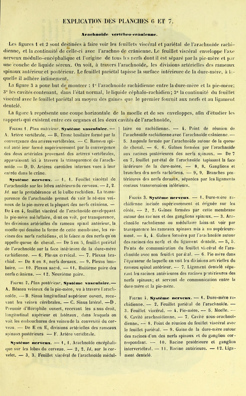 Arachnoïde vertéliro-crânlenne. Les figures 1 et 2 sont destinées à faire voir les feuillets viscéral et pariétal de l’arachnoïde rachi- dienne., et la .continuité de celle-ci avec l’arachno de crânienne. Le feuillet viscéral enveloppe l’axe nerveux médullo-encéphalique et l’origine de tous les nerfs dont il est séparé parla pie-mère et par une couche de liquide séreux. On voit, à travers l’arachnoïde,, les divisions artérielles des rameaux spinaux antérieur et postérieur. Le feuillet pariétal tapisse la surface intérieure de la dure-mère, à la- quelle il adhère intimement. La figure 3 a pour but de montrer : lu l’arachnoïde rachidienne entre la dure-mère et la pie-mère; 3° les cavités contenant, dans l’état normal, le liquide céphalo-rachidien; 3° la continuité du feuillet viscéral avec le feuillet pariétal au moyen des gaines que le premier fournit aux nerfs et au ligament dentelé. La figure h représente une coupe horizontale de la moelle et de ses enveloppes, afin d’étudier les rapports qui existent entre ces organes et les deux cavités de l’arachnoïde, Figure 1. Plan antérieur. Système vasculaire.— A. Artère vertébrale. — B. Tronc basilaire formé par la convergence des artères vertébrales. — C. Rameau spi- nal anté ieur formé supérieurement par la convergence des deux artérioles provenant des artères vertébrales, apparaissant ici à travers la transparence de l’arach- noïde.'— D, D. Artères carotides internes vues à leur entrée dans le crâne. Système nerveux. — 1, 1. Feuillet viscéral de l’arachnoïde sur les lobes antérieursdu cerveau. — 2, 2. hl. sur la protubérance et le bulbe rachidien. La trans- parence de l’arachnoïde permet de voir le réseau vei- neux de la pie-mère et la plupart des nerfs crâniens. — De 4 en 4, feuillet viscéral de l’arachnoïde enveloppant la pie-mère médullaire, dont on voit, par transparence, les divisions artérielles du rameau spinal antérieur, la moelle qui dessine la forme de celte membrane, les ra- cines des nerfs rachidiens, et le faisceau des nerfs qu’on appelle queue, de cheval.— De 3 en 5, feuillet pariétal de l’arachnoïde sur la face intérieure de la dure-mère rachidienne. — 6. Plexus cervical. — 7. Plexus bra- chial. — De 8 en 8, nerfs dorsaux. — 9. Plexus lom- baire. — 10. Plexus sacré. — 11. Huitième paire des nerfs crâniens. — 12. Neuvième paire. Figure 2. Plan postérieur. Système vasculaire.— A. Réseau veineux de la pie-mère, vu à travers l’arach- noïde. — B. Sinus longitudinal supérieur ouvert, rece- vant les veines cérébrales. — C. Sinus latéral. —D . Pressoir d’Hérophile ouvert, recevant les s nus droit, longitudinal supérieur et latéraux, clans lesquels on voit les embouchures des veinesde la convexité du cer- veau. — De E en E, divisions artérielles des rameaux spinaux postérieurs — F. Artère vertébrale. Système nerveux. —1,1. Arachnoïde encéphali- que sur les lobes du cerveau. — 2, 2. ld. sur le cer- velet. — 3,3, Feuillet viscéral de l’arachnoïde médul- laire ou rachidienne. — 4. Point de réunion de l’arachnoïde rachidienne avec l’arachnoïde -crânienne. -— 5. Ampoule formée par l’arachnoïde autour de la queue de cheval. — 6, 6. Gaines formées par l’arachnoïde aux racines postérieures des nerfs spinaux. — De 7 en 7, feuillet pariétal de l’arachnoïde tapissant la face intérieure de la dure-mère. — 8, 8. Ganglions et branches des nerfs rachidiens. — 9, 9. Branches pos- térieures des nerfs dorsaüx, séparées par les ligaments costaux transversaires inférieurs. Figure 3. Système nerveux. — 1. Dure-mère ra- chidienne incisée supérieurement et érignée sur les côtés. — 2, 2. Gaines formées par celte membrane autour des racines et des ganglions spinaux. — 3. Ara- chnoïde rachidienne ou médullaire laissant voir par transparence les rameaux spinaux mis à nu supérieure- ment. — 4, 4. Gaines formées par l'arachnoïde autour des racines des nerfs et du ligament dentelé. — 5, 3. Po nts de communication du feuillet vhcéral de l’ara- chnoïde avec son feuillet par,étal. — 6. Pie-mère dans l’épaisseur de laquelle on voit les divisions artérielles du rameau spinal antérieur. — 7. Ligament dentelé sépa- rant les racines antérieures des racines postérieures des nerfs spinaux; et servant de communication entre la dure-mère et la pie-mère. Figure A. Système nerveux. •— 1. Dure-mère ra- chidienne. — 2. Feuillet pariétal de l’arachnoïde. — 3. Feuillet viscéral. — 4. Pie-mère. — 5. Moelle. — 6. Cavité arachnoïdienne. — 7. Cavité sous-arachnoï- dienne. — 8. Point de réunion du feuillet viscéral avec le feuillet pariétal. — 9. Gaine de la dure-mère autour des racines d’un des nerfs spinaux et du ganglion cor- respondant. — 10. Racine postérieure et ganglion intervertébral. — 11. Racine antérieure. — 12. Liga- ment dentelé.