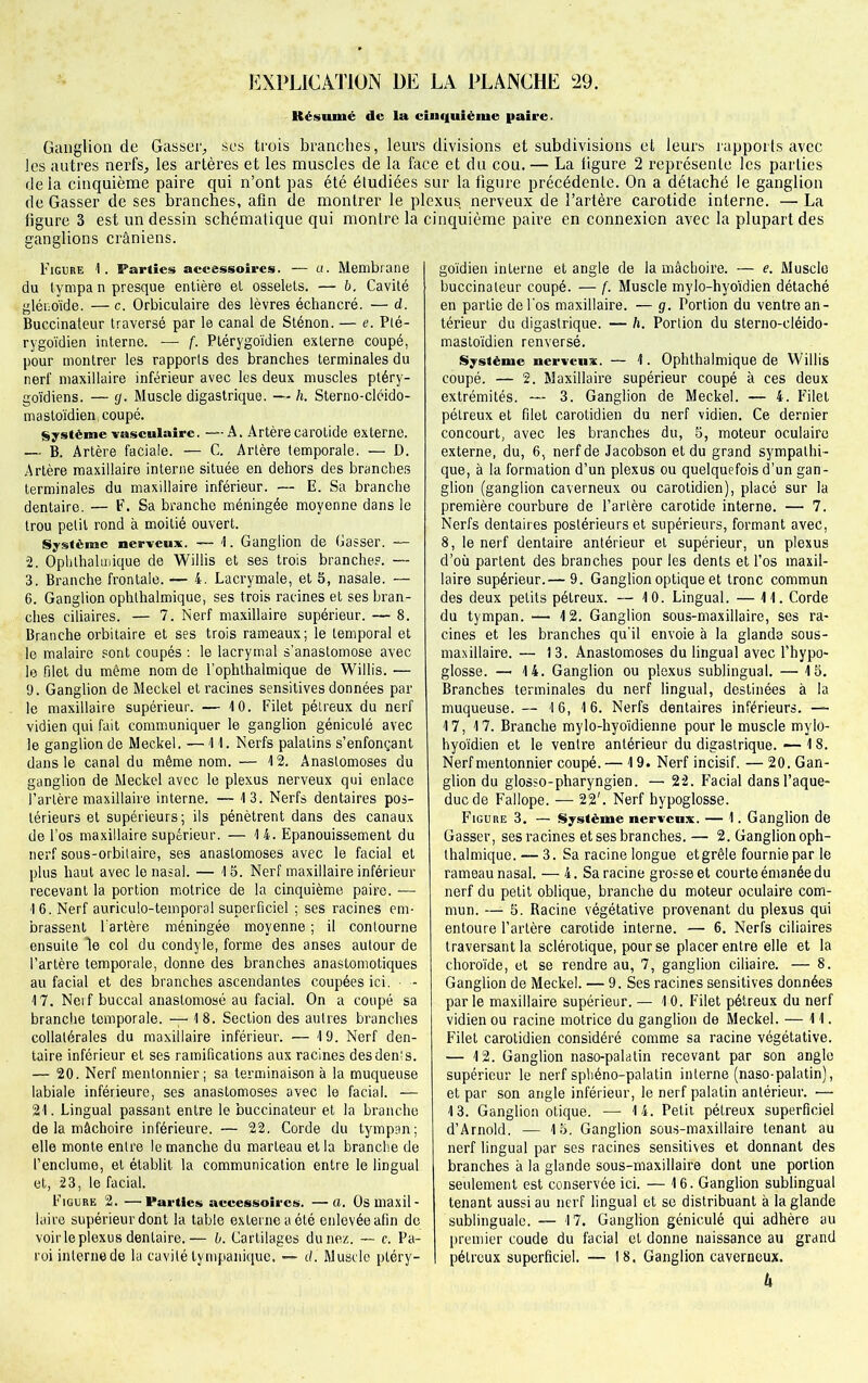 Résumé de la cinquième paire. Ganglion de Gasser, ses trois branches, leurs divisions et subdivisions et leurs rapports avec les autres nerfs, les artères et les muscles de la face et du cou. — La figure 2 représente les parties delà cinquième paire qui n’ont pas été étudiées sur la figure précédente. On a détaché le ganglion de Gasser de ses branches, afin de montrer le plexus nerveux de l’artère carotide interne. — La figure 3 est un dessin schématique qui montre la cinquième paire en connexion avec la plupart des ganglions crâniens. Figure 1. Parties accessoires. — a. Membrane du tympa n presque entière et osselets. — 6. Cavité glénoïde. — c. Orbiculaire des lèvres échancré. — d. Buccinateur traversé par le canal de Sténon. — e. Pté- rygoïdien interne. — f. Ptérygoïdien externe coupé, pour montrer les rapports des branches terminales du nerf maxillaire inférieur avec les deux muscles pléry- goïdiens. — g. Muscle digastrique. — h. Sterno-cléido- mastoïdien, coupé. Système -vasculaire. —A. Artère carotide externe. — B. Artère faciale. — C. Artère temporale. — D. Artère maxillaire interne située en dehors des branches terminales du maxillaire inférieur. — E. Sa branche dentaire. — F. Sa branche méningée moyenne dans le trou petit rond à moitié ouvert. Système nerveux. — 1. Ganglion de Gasser. — 2. Ophthalmique de Willis et ses trois branches. — 3. Branche frontale. — 4. Lacrymale, et 5, nasale. — 6. Ganglion ophthalmique, ses trois racines et ses bran- ches ciliaires. — 7. Nerf maxillaire supérieur. — 8. Branche orbitaire et ses trois rameaux; le temporal et le malaire sont coupés : le lacrymal s’anastomose avec le filet du même nom de l’ophthalmique de Willis. — 9. Ganglion de Meckel et racines sensitives données par le maxillaire supérieur. — 10. Filet pétreux du nerf vidien qui fait communiquer le ganglion géniculé avec le ganglion de Meckel. —4 4. Nerfs palatins s’enfonçant dans le canal du même nom. — 12. Anastomoses du ganglion de Meckel avec le plexus nerveux qui enlace l’artère maxillaire interne. — 13. Nerfs dentaires pos- térieurs et supérieurs; ils pénètrent dans des canaux de l’os maxillaire supérieur. — 14. Epanouissement du nerf sous-orbilaire, ses anastomoses avec le facial et plus haut avec le nasal. — 15. Nerf maxillaire inférieur recevant la portion motrice de la cinquième paire. — 1 6. Nerf auriculo-temporal superficiel ; ses racines em- brassent l'artère méningée moyenne ; il contourne ensuite le col du condyle, forme des anses autour de l’artère temporale, donne des branches anastomotiques au facial et des branches ascendantes coupées ici. • - 17. Nerf buccal anastomosé au facial. On a coupé sa branche temporale. — 18. Section des autres branches collatérales du maxillaire inférieur. — 19. Nerf den- taire inférieur et ses ramifications aux racines des dénis. — 20. Nerf mentonnier ; sa terminaison à la muqueuse labiale inférieure, ses anastomoses avec le facial. — 21. Lingual passant entre le buccinateur et la branche de la mâchoire inférieure. — 22. Corde du tympan; elle monte entre le manche du marteau et la branche de l’enclume, et établit la communication entre le lingual et, 23, le facial. Figure 2. —Parties accessoires. —a. Os maxil- laire supérieur dont la table externe a été enlevée afin de voir le plexus dentaire.— b. Cartilages du nez. — c. Pa- roi interne de la cavité tympanique. — d. Muscle pléry- goïdien interne et angle de la mâchoire. — e. Muscle buccinateur coupé. — f. Muscle mylo-hyoïdien détaché en partie de l’os maxillaire. — g. Portion du ventre an- térieur du digastrique. — h. Portion du sterno-cléido- mastoïdien renversé. Système nerveux. — 4. Ophthalmique de Willis coupé. — 2. Maxillaire supérieur coupé à ces deux extrémités. — 3. Ganglion de Meckel. — 4. Filet pétreux et filet carotidien du nerf vidien. Ce dernier concourt, avec les branches du, 5, moteur oculaire externe, du, 6, nerf de Jacobson et du grand sympathi - que, à la formation d’un plexus ou quelquefois d’un gan- glion (ganglion caverneux ou carotidien), placé sur la première courbure de l’artère carotide interne. — 7. Nerfs dentaires postérieurs et supérieurs, formant avec, 8, le nerf dentaire antérieur et supérieur, un plexus d’où parlent des branches pour les dents et l’os maxil- laire supérieur.— 9. Ganglion optique et tronc commun des deux petits pétreux. — 10. Lingual. — 11. Corde du tympan. — 12. Ganglion sous-maxillaire, ses ra- cines et les branches qu’il envoie à la glande sous- maxillaire. — 13. Anastomoses du lingual avec l’hypo- glosse. — 14. Ganglion ou plexus sublingual. — 15. Branches terminales du nerf lingual, destinées à la muqueuse.— 16, 16. Nerfs dentaires inférieurs. — 17, 17. Branche mylo-hyoïdienne pour le muscle mylo- hyoïdien et le ventre antérieur du digastrique. — 1 8. Nerf mentonnier coupé. — 19. Nerf incisif. — 20. Gan- glion du glosso-pharyngien. — 22. Facial dans l’aque- duc de Fallope. — 22'. Nerf hypoglosse. Figure 3. — Système nerveux. — 1. Ganglion de Gasser, ses racines et ses branches.— 2. Ganglion oph- thalmique. — 3. Sa racine longue et grêle fournie par le rameau nasal. — 4. Sa racine grosse et courte émanée du nerf du petit oblique, branche du moteur oculaire com- mun. —- 5. Racine végétative provenant du plexus qui entoure l’artère carotide interne. — 6. Nerfs ciliaires traversant la sclérotique, pour se placer entre elle et la choroïde, et se rendre au, 7, ganglion ciliaire. — 8. Ganglion de Meckel. — 9. Ses racines sensitives données parle maxillaire supérieur. — 10. Filet pétreux du nerf vidien ou racine motrice du ganglion de Meckel. — 11. Filet carotidien considéré comme sa racine végétative. — 12. Ganglion naso-palatin recevant par son angle supérieur le nerf sphéno-palatin interne (naso-palatin), et par son angle inférieur, le nerf palatin antérieur. •— 13. Ganglion otique. — 14. Petit pétreux superficiel d’Arnold. — 15. Ganglion sous-maxillaire tenant au nerf lingual par ses racines sensitives et donnant des branches à la glande sous-maxillaire dont une portion seulement est conservée ici. — 16. Ganglion sublingual tenant aussi au nerf lingual et se distribuant à la glande sublinguale. — 17. Ganglion géniculé qui adhère au premier coude du facial et donne naissance au grand I pétreux superficiel. — 18. Ganglion caverneux.