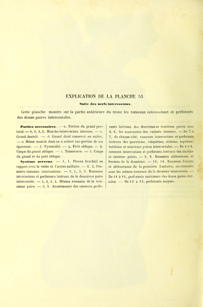 Suite des nerfs intercostaux. Geite planche montre sur la partie antérieure du tronc les rameaux intercostaux et perforants des douze paires intercostales. Parties accessoires. — a. Portion dn grand pec- toral.— b, b, b, b. Muscles intercostaux internes. — c. Grand dentelé. — d. Grand droit conservé en entier, — e. Même muscle dont on a enlevé une portion de son épaisseur. — f. Pyramidal. — g. Petit oblique. — h. Coupe du grand oblique. — i. Transverse. — k. Coupe du grand et du petit oblique. Système nerveux. — 1, 1. Plexus brachial en rapport avec la veine et l’artère axillaire. — 2, 2. Pre- miers rameaux intercostaux. — 3, 3, 3, 3. Rameaux intercostaux et perforants latéraux de la deuxième paire intercostale. — 4, 4, 4, 4. Mêmes rameaux de la troi- sième paire. — 5, 5. Anastomoses des rameaux perfo- rants latéraux des deuxième et troisième paires avec 6, 6, les accessoires des cutanés internes. — De 7 à 7, de chaque côté, rameaux intercostaux et perforants latéraux des quatrième, cinquième, sixième, septième, huitième et neuvième paires intercostales. — De 8 à 8. rameaux intercostaux et perforants latéraux des dixième et onzième paires. — 9, 9. Rameaux abdominaux et fessiers de la douzième. — 10, 10. Rameaux fessiers et abdominaux de la première lombaire, anastomosés avec les mêmes rameaux de la dernière intercostale, — Dell à H, perforants antérieurs des douze paires dor- sales. — De 12 à 12, perforants moyens.