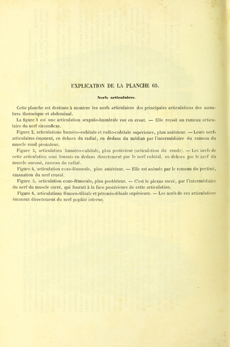 Nerfs articulaires. Cette planche est destinée à montrer les nerfs articulaires des principales articulations des mem- bres thoracique et abdominal. La figure 1 est une articulation scapulo-humérale vue en avant. — Elle reçoit un rameau articu- laire du nerf circonflexe. Figure 2, articulations huméro-cubitale et radio-cubitale supérieure, plan antérieur. —Leurs nerfs articulaires émanent, en dehors du radial, en dedans du médian par l’intermédiaire du rameau du muscle rond pronateur. Figure 3, articulation huméro-cubitale, plan postérieur (articulation du coude). — Les nerfs de cette articulation sont fournis en dedans directement par le nerf cubital, en dehors par le nerf du muscle anconé, rameau du radial. Figure h. articulation coxo-fémoraîe, plan antérieur. — Elle est animée par le rameau du pectiné, émanation du nerf crural. Figure 5, articulation coxo-fémorale, plan postérieur. — C’est le plexus sacré, par l’intermédiaire du nerf du muscle carré, qui fournit à la face postérieure de cette articulation. Figure 6, articulations fémoro-tibiale et péronéo-tibiale supérieure. — Les nerfs de ces articulations émanent directement du nerf poplité interne.