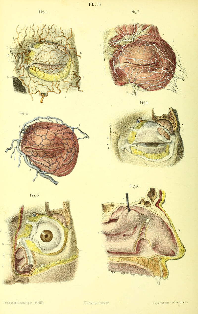 PL. 76