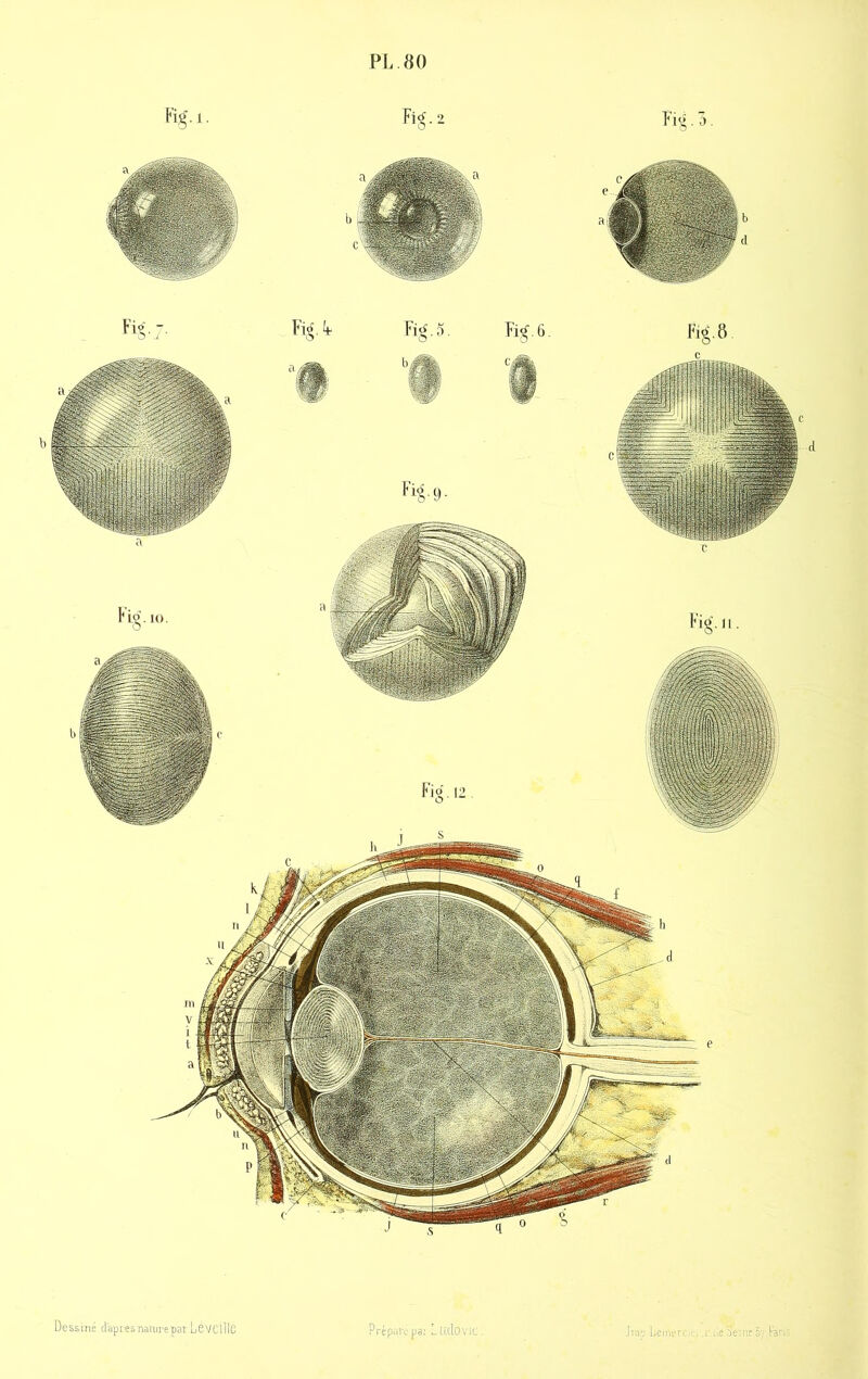 PL. 80 Dessiné d'aprèsîsàïurépar LévetllG Prèpffl’Cjpai L cctl©v le. Fig. 3.