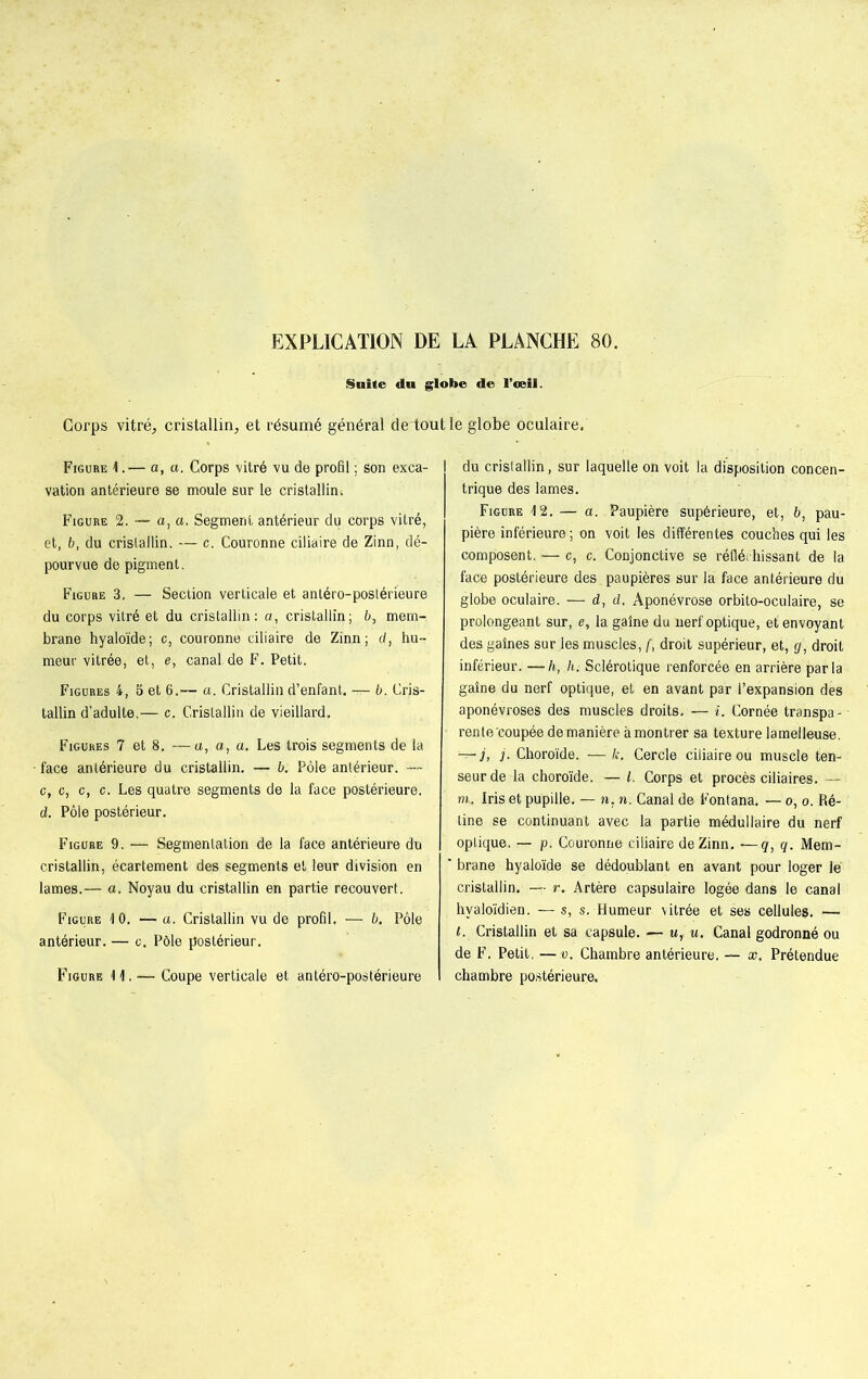 Suite du globe de l’œil. Corps vitré, cristallin, et résumé général de tout le globe oculaire. Figure 1.— a, a. Corps vitré vu de profil ; son exca- vation antérieure se moule sur le cristallin i Figure 2. ~ a, a. Segment antérieur du corps vitré, et, b, du cristallin. — c. Couronne ciliaire de Zinn, dé- pourvue de pigment. Figure 3, — Section verticale et antéro-postérieure du corps vitré et du cristallin: a, cristallin; 6, mem- brane hyaloïde; c, couronne ciliaire de Zinn; d, hu- meur vitrée, et, e, canal, de F. Petit. Figures 4, 5 et 6.— a. Cristallin d’enfant. — 6. Cris- tallin d'adulte.— c. Cristallin de vieillard, Figures 7 et 8, —a, a, a. Les trois segments de la face antérieure du cristallin. — b. Pôle antérieur. — c, c, c, c. Les quatre segments de la face postérieure. d. Pôle postérieur. Figure 9. — Segmentation de la face antérieure du cristallin, écartement des segments et leur division en lames.— a. Noyau du cristallin en partie recouvert. Figure 10. — a. Cristallin vu de profil. — b. Pôle antérieur. — c. Pôle postérieur. Figure 11. — Coupe verticale et antéro-postérieure du cristallin, sur laquelle on voit la disposition concen- trique des lames. Figure 12. — a. Paupière supérieure, et, b, pau- pière inférieure ; on voit les différentes couches qui les composent. — c, c. Conjonctive se réfléi hissant de la face postérieure des paupières sur la face antérieure du globe oculaire. — d, d. Aponévrose orbito-oculaire, se prolongeant sur, e, la gaine du nerf optique, et envoyant des gaines sur les muscles, [, droit supérieur, et, g, droit inférieur. —h, h. Sclérotique renforcée en arrière parla gaîne du nerf optique, et en avant par l’expansion des aponévroses des muscles droits. — i. Cornée transpa- rente coupée de manière à montrer sa texture lamelleuse. -—y, j. Choroïde. — k. Cercle ciliaire ou muscle ten- seur de la choroïde. — l. Corps et procès ciliaires. — m. Iris et pupille. — n, n. Canal de Fontana. — o, o. Ré- tine se continuant avec la partie médullaire du nerf optique. — p. Couronne ciliaire de Zinn. —q, q. Mem- brane hyaloïde se dédoublant en avant pour loger lé cristallin. — r. Artère capsulaire logée dans le canal hvaloïdien. — s, s. Humeur vitrée et ses cellules. — l. Cristallin et sa capsule. -— u, u. Canal godronné ou de F. Petit. —v. Chambre antérieure. — x. Prétendue chambre postérieure.