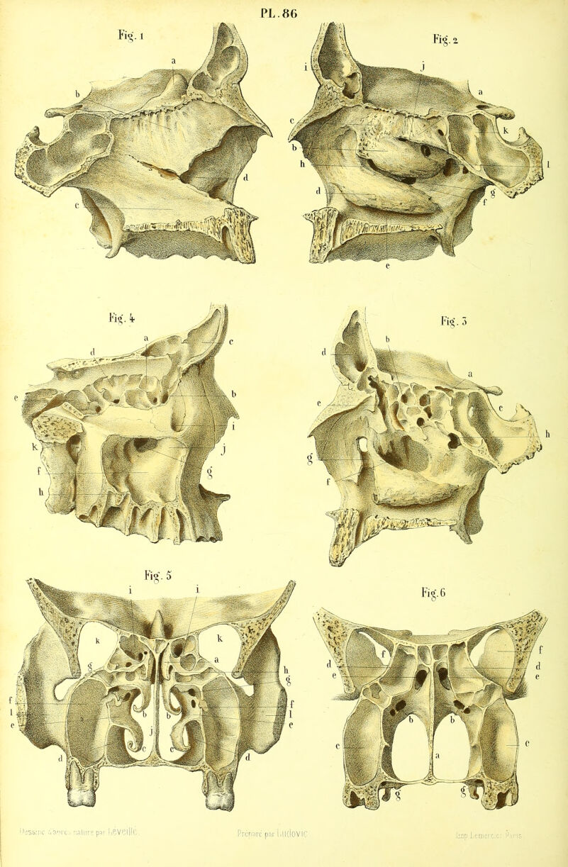 I,éveille iarc par I rlSgiVIC sp.iiemer