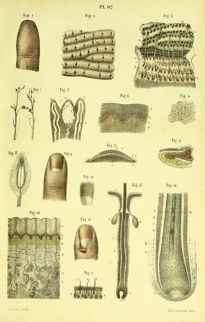 PL .92 j.illi par l.cveillc lmp Lemercier .Paris