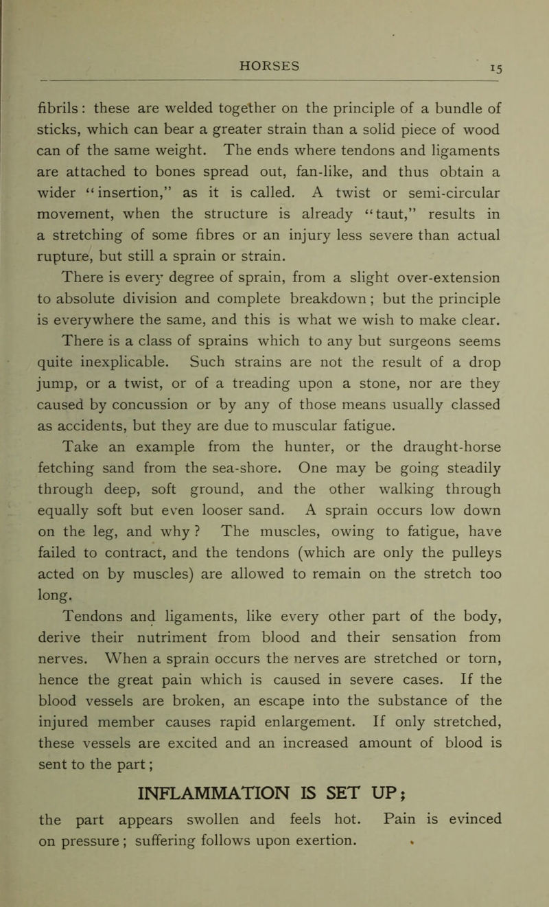 fibrils: these are welded together on the principle of a bundle of sticks, which can bear a greater strain than a solid piece of wood can of the same weight. The ends where tendons and ligaments are attached to bones spread out, fan-like, and thus obtain a wider “ insertion,” as it is called. A twist or semi-circular movement, when the structure is already “taut,” results in a stretching of some fibres or an injury less severe than actual rupture, but still a sprain or strain. There is every degree of sprain, from a slight over-extension to absolute division and complete breakdown; but the principle is everywhere the same, and this is what we wish to make clear. There is a class of sprains which to any but surgeons seems quite inexplicable. Such strains are not the result of a drop jump, or a twist, or of a treading upon a stone, nor are they caused by concussion or by any of those means usually classed as accidents, but they are due to muscular fatigue. Take an example from the hunter, or the draught-horse fetching sand from the sea-shore. One may be going steadily through deep, soft ground, and the other walking through equally soft but even looser sand. A sprain occurs low down on the leg, and why ? The muscles, owing to fatigue, have failed to contract, and the tendons (which are only the pulleys acted on by muscles) are allowed to remain on the stretch too long. Tendons and ligaments, like every other part of the body, derive their nutriment from blood and their sensation from nerves. When a sprain occurs the nerves are stretched or torn, hence the great pain which is caused in severe cases. If the blood vessels are broken, an escape into the substance of the injured member causes rapid enlargement. If only stretched, these vessels are excited and an increased amount of blood is sent to the part; INFLAMMATION IS SET UP; the part appears swollen and feels hot. Pain is evinced on pressure ; suffering follows upon exertion. *