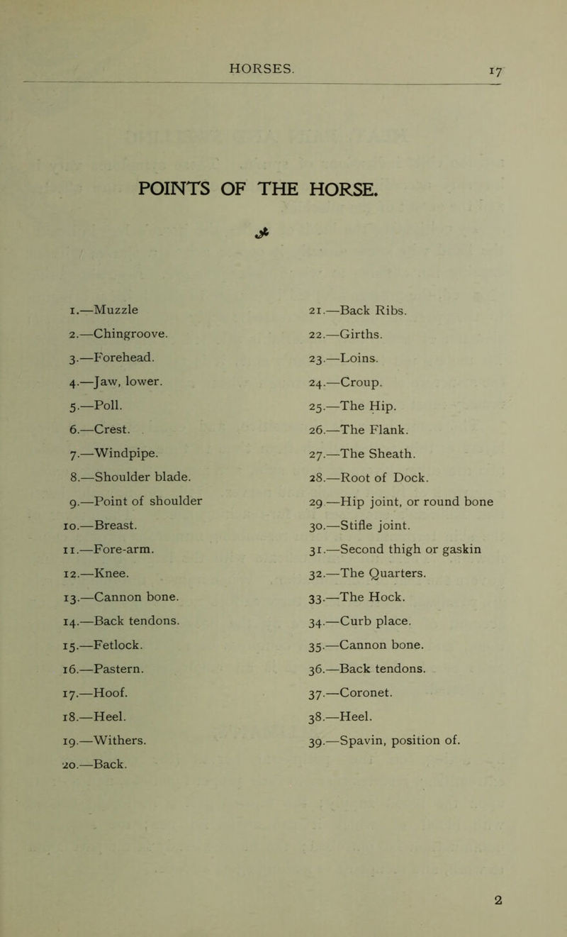 POINTS OF THE HORSE. 1.—Muzzle 21.—Back Ribs. 2.—Chingroove. 22.—Girths. 3.—Forehead. 23.—Loins. 4.—Jaw, lower. 24.—Croup. 5-—Poll. 25.—The Hip. 6.—Crest. 26.—The Flank. 7.—Windpipe. 27.—The Sheath. 8.—Shoulder blade. 28.—Root of Dock. 9.—Point of shoulder 29—Hip joint, or round bone 10.—Breast. 30.—Stifle joint. 11.—Fore-arm. 31.—Second thigh or gaskin 12.—Knee. 32.—The Quarters. 13.—Cannon bone. 33.—The Hock. 14.—Back tendons. 34.—Curb place. 15.—Fetlock. 35.—Cannon bone. 16.—Pastern. 36.—Back tendons. 17.—-Hoof. 37.—Coronet. 18.—Heel. 38.—Heel. 19. —Withers. 20. —Back. 39.—Spavin, position of. 2