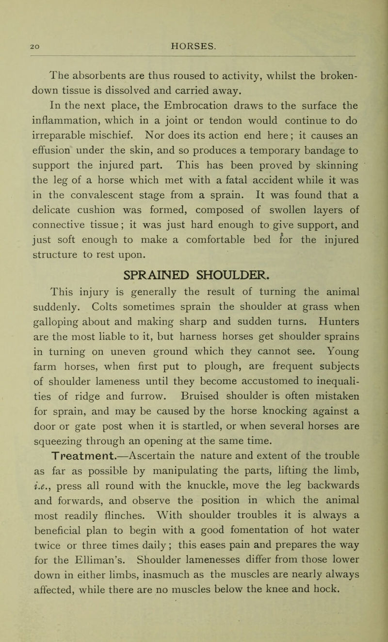 The absorbents are thus roused to activity, whilst the broken- down tissue is dissolved and carried away. In the next place, the Embrocation draws to the surface the inflammation, which in a joint or tendon would continue to do irreparable mischief. Nor does its action end here; it causes an effusion under the skin, and so produces a temporary bandage to support the injured part. This has been proved by skinning the leg of a horse which met with a fatal accident while it was in the convalescent stage from a sprain. It was found that a delicate cushion was formed, composed of swollen layers of connective tissue; it was just hard enough to give support, and just soft enough to make a comfortable bed for the injured structure to rest upon. SPRAINED SHOULDER. This injury is generally the result of turning the animal suddenly. Colts sometimes sprain the shoulder at grass when galloping about and making sharp and sudden turns. Hunters are the most liable to it, but harness horses get shoulder sprains in turning on uneven ground which they cannot see. Young farm horses, when first put to plough, are frequent subjects of shoulder lameness until they become accustomed to inequali- ties of ridge and furrow. Bruised shoulder is often mistaken for sprain, and may be caused by the horse knocking against a door or gate post when it is startled, or when several horses are squeezing through an opening at the same time. Treatment.—Ascertain the nature and extent of the trouble as far as possible by manipulating the parts, lifting the limb, i.e., press all round with the knuckle, move the leg backwards and forwards, and observe the position in which the animal most readily flinches. With shoulder troubles it is always a beneficial plan to begin with a good fomentation of hot water twice or three times daily; this eases pain and prepares the way for the Elliman’s. Shoulder lamenesses differ from those lower down in either limbs, inasmuch as the muscles are nearly always affected, while there are no muscles below the knee and hock.