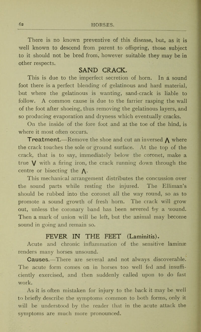 There is no known preventive of this disease, but, as it is well known to descend from parent to offspring, those subject to it should not be bred from, however suitable they may be in other respects. SAND CRACK. This is due to the imperfect secretion of horn. In a sound foot there is a perfect blending of gelatinous and hard material, but where the gelatinous is wanting, sand-crack is liable to follow. A common cause is due to the farrier rasping the wall of the foot after shoeing, thus removing the gelatinous layers, and so producing evaporation and dryness which eventually cracks. On the inside of the fore foot and at the toe of the hind, is where it most often occurs. Treatment.—Remove the shoe and cut an inversed /\ where the crack touches the sole or ground surface. At the top of the crack, that is to say, immediately below the coronet, make a true V with a firing iron, the crack running down through the centre or bisecting the /\. This mechanical arrangement distributes the concussion over the sound parts while resting the injured. The Elliman’s should be rubbed into the coronet all the way round, so as to promote a sound growth of fresh horn. The crack will grow out, unless the coronary band has been severed by a wound. Then a mark of union will be left, but the animal may become sound in going and remain so. FEVER IN THE FEET (Laminitis), Acute and chronic inflammation of the sensitive laminae renders many horses unsound. Causes.—There are several and not always discoverable. The acute form comes on in horses too well fed and insuffi- ciently exercised, and then suddenly called upon to do fast work. As it is often mistaken for injury to the back it may be well to briefly describe the symptoms common to both forms, only it will be understood by the reader that in the acute attack the symptoms are much more pronounced.