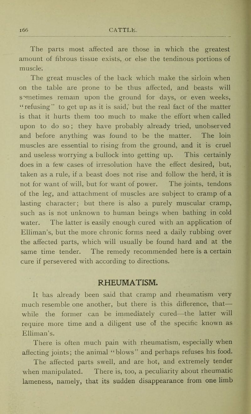 The parts most affected are those in which the greatest amount of fibrous tissue exists, or else the tendinous portions of muscle: The great muscles of the back which make the sirloin when on the table are prone to be thus affected, and beasts will sometimes remain upon the ground for days, or even weeks, “refusing” to get up as it is said,' but the real fact of the matter is that it hurts them too much to make the effort when called upon to do so; they have probably already tried, unobserved and before anything was found to be the matter. The loin muscles are essential to rising from the ground, and it is cruel and useless worrying a bullock into getting up. This certainly does in a few cases of irresolution have the effect desired, but, taken as a rule, if a beast does not rise and follow the herd, it is not for want of will, but for want of power. The joints, tendons of the leg, and attachment of muscles are subject to cramp of a lasting character; but there is also a purely muscular cramp, such as is not unknown to human beings when bathing in cold water. The latter is easily enough cured with an application of Elliman’s, but the more chronic forms need a daily rubbing over the affected parts, which will usually be found hard and at the same time tender. The remedy recommended here is a certain cure if persevered with according to directions. RHEUMATISM, It has already been said that cramp and rheumatism very much resemble one another, but there is this difference, that— while the former can be immediately cured—the latter will require more time and a diligent use of the specific known as Elliman’s. There is often much pain with rheumatism, especially when affecting joints; the animal “blows” and perhaps refuses his food. The affected parts swell, and are hot, and extremely tender when manipulated. There is, too, a peculiarity about rheumatic lameness, namely, that its sudden disappearance from one limb