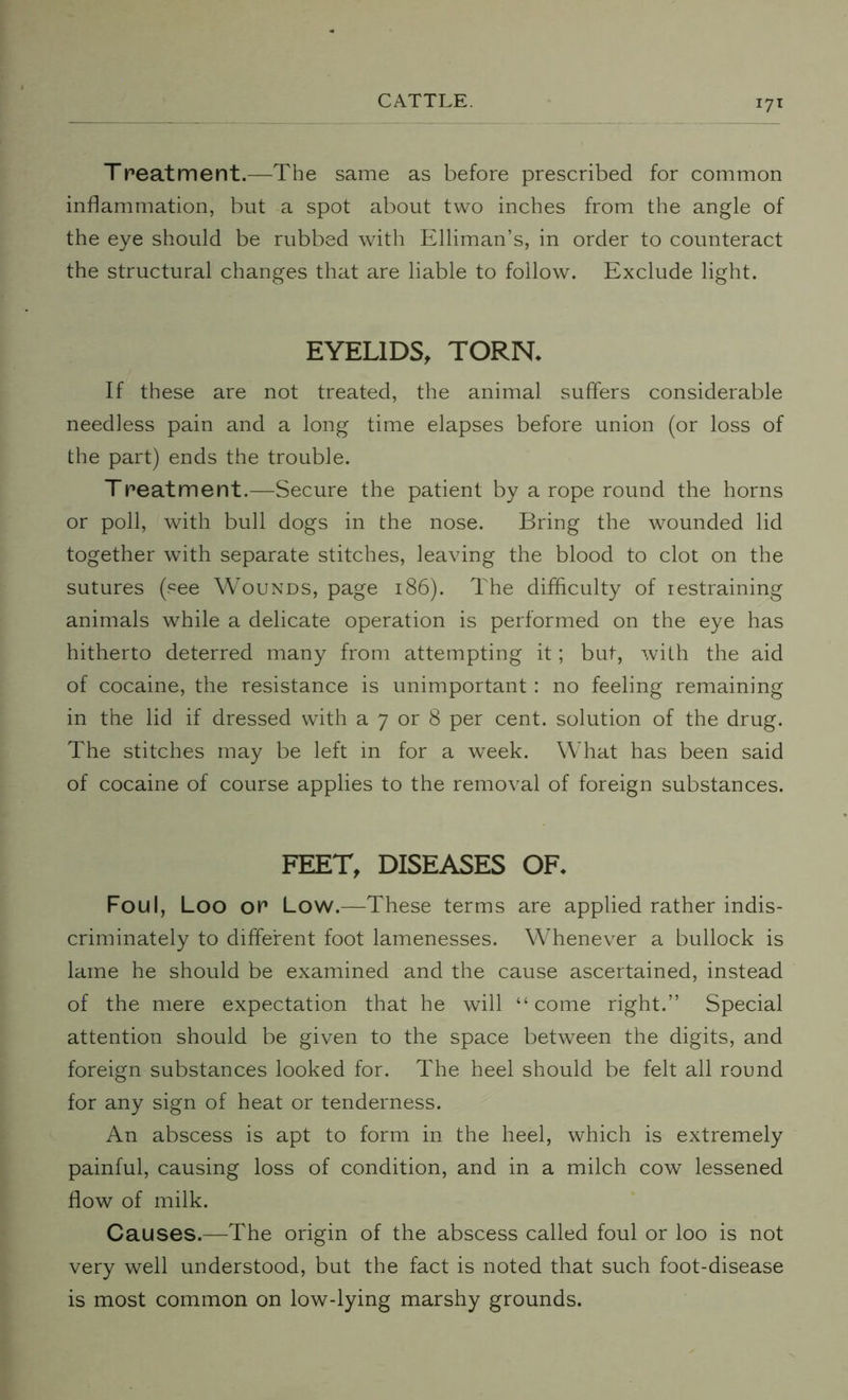 Treatment.—The same as before prescribed for common inflammation, but a spot about two inches from the angle of the eye should be rubbed with Elliman’s, in order to counteract the structural changes that are liable to follow. Exclude light. EYELIDS, TORN* If these are not treated, the animal suffers considerable needless pain and a long time elapses before union (or loss of the part) ends the trouble. Treatment.—Secure the patient by a rope round the horns or poll, with bull dogs in the nose. Bring the wounded lid together with separate stitches, leaving the blood to clot on the sutures (see Wounds, page 186). The difficulty of restraining animals while a delicate operation is performed on the eye has hitherto deterred many from attempting it; but, with the aid of cocaine, the resistance is unimportant: no feeling remaining in the lid if dressed with a 7 or 8 per cent, solution of the drug. The stitches may be left in for a week. What has been said of cocaine of course applies to the removal of foreign substances. FEET, DISEASES OF. Foul, Loo op Low.—These terms are applied rather indis- criminately to different foot lamenesses. Whenever a bullock is lame he should be examined and the cause ascertained, instead of the mere expectation that he will “come right.” Special attention should be given to the space between the digits, and foreign substances looked for. The heel should be felt all round for any sign of heat or tenderness. An abscess is apt to form in the heel, which is extremely painful, causing loss of condition, and in a milch cow lessened flow of milk. Causes.—The origin of the abscess called foul or loo is not very well understood, but the fact is noted that such foot-disease is most common on low-lying marshy grounds.
