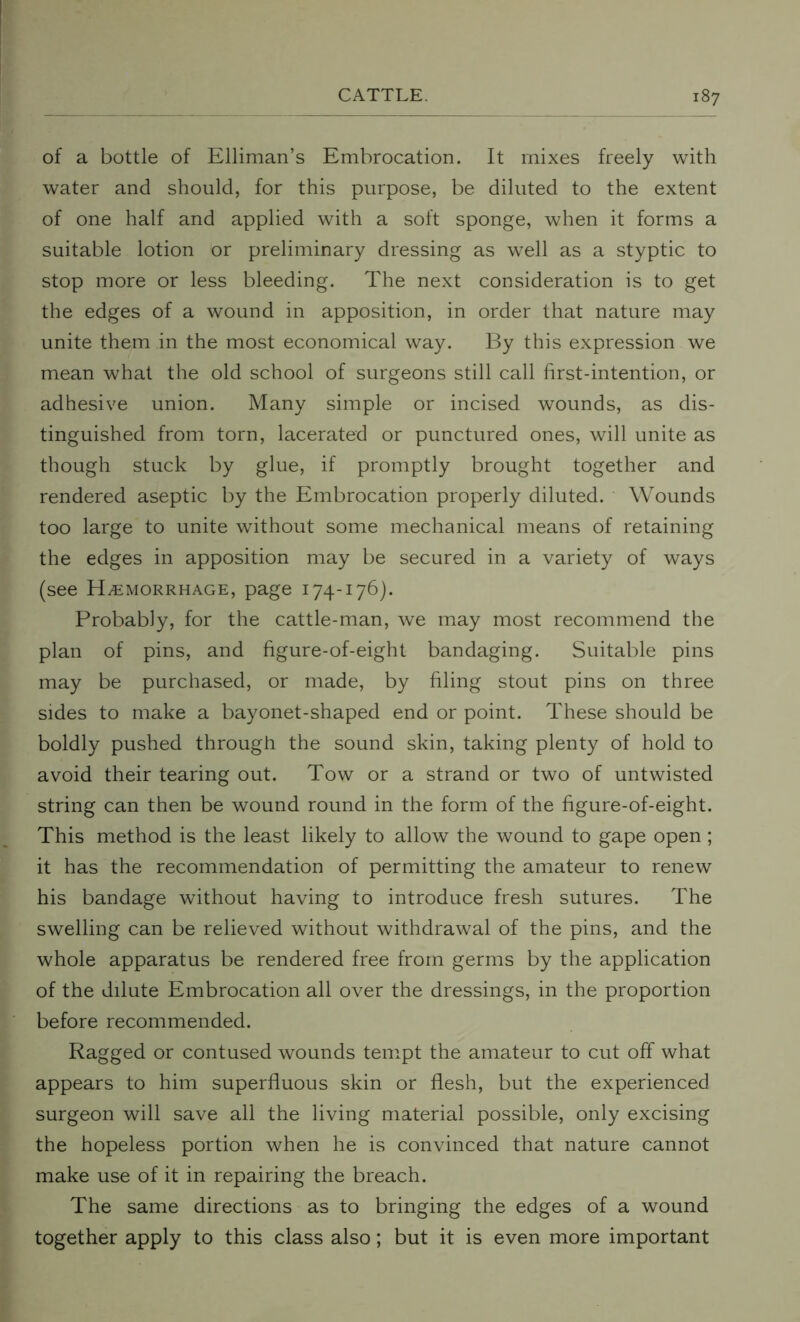 of a bottle of Elliman’s Embrocation. It mixes freely with water and should, for this purpose, be diluted to the extent of one half and applied with a soft sponge, when it forms a suitable lotion or preliminary dressing as well as a styptic to stop more or less bleeding. The next consideration is to get the edges of a wound in apposition, in order that nature may unite them in the most economical way. By this expression we mean what the old school of surgeons still call first-intention, or adhesive union. Many simple or incised wounds, as dis- tinguished from torn, lacerated or punctured ones, will unite as though stuck by glue, if promptly brought together and rendered aseptic by the Embrocation properly diluted. Wounds too large to unite without some mechanical means of retaining the edges in apposition may be secured in a variety of ways (see Hemorrhage, page 174-176). Probably, for the cattle-man, we may most recommend the plan of pins, and figure-of-eight bandaging. Suitable pins may be purchased, or made, by filing stout pins on three sides to make a bayonet-shaped end or point. These should be boldly pushed through the sound skin, taking plenty of hold to avoid their tearing out. Tow or a strand or two of untwisted string can then be wound round in the form of the figure-of-eight. This method is the least likely to allow the wound to gape open ; it has the recommendation of permitting the amateur to renew his bandage without having to introduce fresh sutures. The swelling can be relieved without withdrawal of the pins, and the whole apparatus be rendered free from germs by the application of the dilute Embrocation all over the dressings, in the proportion before recommended. Ragged or contused wounds tempt the amateur to cut off what appears to him superfluous skin or flesh, but the experienced surgeon will save all the living material possible, only excising the hopeless portion when he is convinced that nature cannot make use of it in repairing the breach. The same directions as to bringing the edges of a wound together apply to this class also; but it is even more important