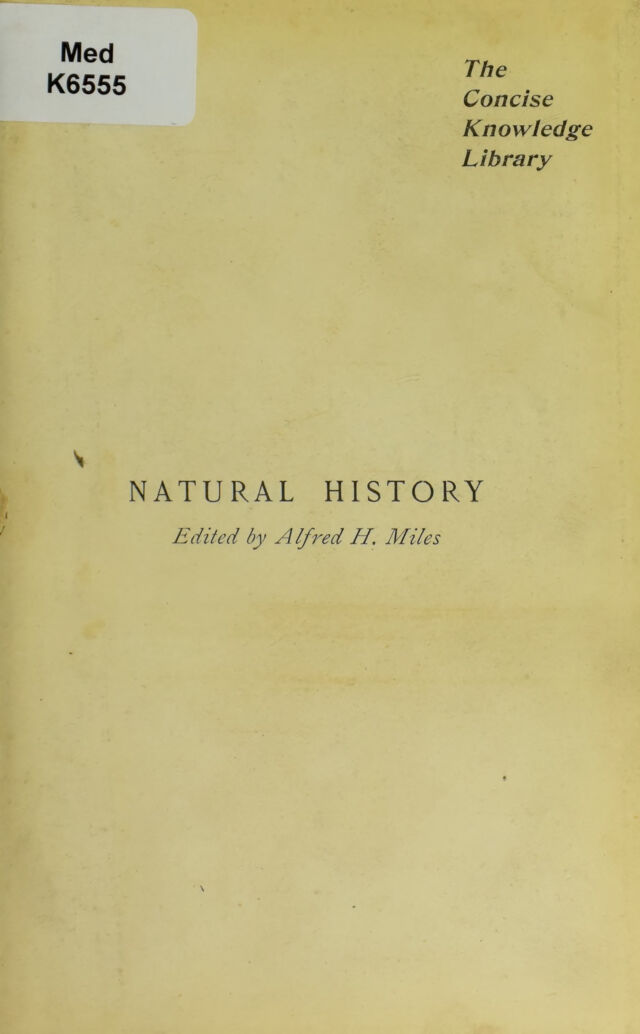 digitised image 3