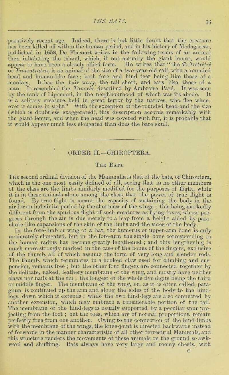 paratively recent age. Indeed, there is but little doubt that the creature has been killed off within the human period, and in his history of Madagascar, published in 1658, De Flacourt writes in the following terms of an animal then inhabiting the island, which, if not actually the giant lemur, would appear to have been a closely allied form. He writes that “the Tretretretre or Tratratratra, is an animal of the size of a two-year-old calf, with a rounded head and human-like face ; both fore and hind feet being like those of a monkey. It has the hair wavy, the tail short, and ears like those of a man. It resembled the Tanaclie described by Ambroise Pare. It was seen by the tank of Lipomani, in the neighbourhood of which was its abode. It is a solitary creature, held in great terror by the natives, who flee when- ever it comes in sight.” With the exception of the rounded head and the size (which is doubtless exaggerated), this description accords remarkably with the giant lemur, and when the head was covered with fur, it is probable that it would appear much less elongated than does the bare skull. ORDER II.—CHIROPTERA. The Bats. The second ordinal division of the Mammalia is that of the bats, or Chiroptera, which is the one most easily defined of all, seeing that in no other members of the class are the limbs similarly modified for the purposes of flight, while it is in these animals alone among the class that the power of true flight is found. By true flight is meant the capacity of sustaining the body in the air for an indefinite period by the shortness of the wings ; this being markedly different from the spurious flight of such creatures as flying-foxes, whose pro- gress through the air is due merely to a leap from a height aided by para- chute-like expansions of the skin of the limbs and the sides of the body. In the fore-limb or wing of a bat, the humerus or upper-arm bone is only moderately elongated, but in the fore-arm the single bone corresponding to the human radius has become greatly lengthened ; and this lengthening is much more strongly marked in the case of the bones of the fingers, exclusive of the thumb, all of which assume the form of very long and slender rods. The thumb, which terminates in a hooked claw used for climbing and sus- pension, remains free ; but the other four fingers are connected together by the delicate, naked, leathery membrane of the wing, and mostly have neither claws nor nails at the tip ; the longest of the whole five digits being the third or middle finger. The membrane of the wing, or, as it is often called, pata- gium, is continued up the arm and along the sides of the body to the hind- legs, down which it extends ; while the two hind-legs are also connected by another extension, which may embrace a considerable portion of the tail. The membrane of the hind-legs is usually supported by a peculiar spur pro- jecting from the foot ; but the toes, which are of normal proportions, remain perfectly free from one another. Owing to the connection of the hind-limbs with the membrane of the wings, the knee-joint is directed backwards instead of forwards in the manner characteristic of all other terrestrial Mammals, and this structure renders the movements of these animals on the ground so awk- ward and shuffling. Bats always have very large and roomy chests, with