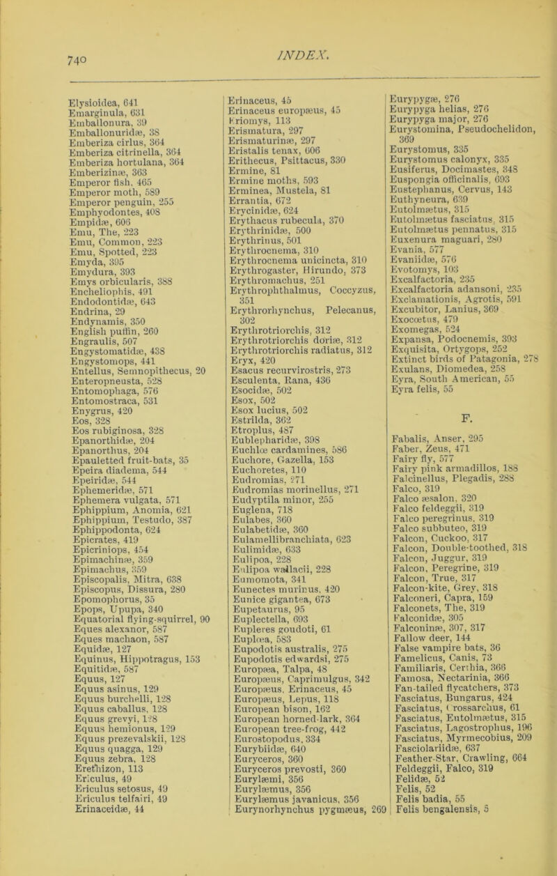 Elysioidea, 641 Emarginula, 631 Emballonura, 39 Emballonuridae, 38 Emberiza eirlus, 364 Emberiza citrinella, 364 Emberiza hortulana, 364 Emberizinm, 363 Emperor fish, 465 Emperor moth, 589 Emperor penguin, 255 Emphyodontes, 408 Empidae, 606 Emu, The, 223 Emu, Common, 223 Emu, Spotted, 223 Emyda, 395 Emydura, 393 Emys orbicularis, 388 Encheliophis, 491 Endodontidae, 643 Endrina, 29 Endynamis, 350 English puffin, 260 Engraulis, 507 Engystomatidae, 438 Engystomops, 441 Entellus, Semnopithecus, 20 Enteropneusta, 528 Entomophaga, 576 Entomostraca, 531 Enygrus, 420 Eos, 328 Eos rubiginosa, 328 Epanorthidae, 204 Epanorthus, 204 Epauletted fruit-bats, 35 Epeira diadema, 544 Epeiridae, 544 Ephemeridse, 571 Ephemera vulgata, 571 Ephippium, Anomia, 621 Ephippium, Testudo, 387 Ephippodonta, 624 Epicrates, 419 Epicriniops, 454 Epimachinae, 359 Epimachus, 359 Episcopalis, Mitra, 638 Episcopus, Dissura, 280 Epomophorus, 35 Epops, Upupa, 340 Equatorial flying-squirrel, 90 Eques alexanor, 587 Eques machaon, 587 Equidse, 127 Equinus, Hippotragus, 153 Equitidae, 587 Equus, 127 Equus asinus, 129 Equus burchelli, 128 Equus caballus, 128 Equus grevyi, 178 Equus hemionus, 129 Equus prezevalskii, 128 Equus quagga, 129 Equus zebra, 128 Eretliizon, 113 Ericulus, 49 Ericulus setosus, 49 Ericulus telfairi, 49 Erinaceidae, 44 Erinaceus, 45 Erinaceus europseus, 45 Kriomys, 113 Erismatura, 297 Erismaturinse, 297 Eristalis tenax, 606 Eritliecus, Psittacus, 330 Ermine, 81 Ermine moths, 593 Erminea, Mustela, 81 Errantia, 672 Erycinidae, 624 Erythacus rubecula, 370 Eryth rinidaj, 500 Erythrin us, 501 Erythrocnema, 310 Erythrocnema unicincta, 310 Erythrogaster, Hirundo, 373 Erythromachus, 251 Erythroplithalmus, Coccyzus, 351 Erythrorhynchus, Pelecanus, 302 Erythrotriorehis, 312 Erythrotriorcliis do'rise, 312 Erythrotriorehis radiatus, 312 Eryx, 420 Esacus recurvirostris, 273 Esculenta, liana, 436 Esocidse, 502 Esox, 502 Esox lucius, 502 Estrilda, 362 Etroplus, 487 Eublepharidae, 398 Eucliloe eardamines, 586 Euchore, Gazella, 153 Euchoretes, 110 Eudromias, 271 Eudromias morinellus, 271 Eudyptila minor, 255 Euglena, 718 Eulabes, 360 Eulabetidae, 360 Eulamellibranchiata, 623 Eulimidfe, 633 Eulipoa, 228 Enlipoa wailacii, 228 Eumomota, 341 Eunectes murir.us, 420 Eunice gigantea, 673 Eupetaurus, 95 Euplectella, 693 Eupleres goudoti, 61 Euplcea, 583 Eupodotis australis, 275 Eupodotis edwardsi, 275 Europaea, Talpa, 48 Europaeus, Caprimulgus, 342 Europaeus. Erinaceus, 45 Europaeus, Lepus, 118 European bison, 162 European horned-lark, 364 European tree-frog, 442 Eurostopodus, 334 Eurybiidse, 640 Euryceros, 360 Euryceros prevosti, 360 Eurylaemi, 356 Eurylaemus, 356 Eurylaemus javanicus, 356 Eurynorhynchus pygmteus, 269 Eurypygae, 276 Eurypyga helias, 276 Eurypyga major, 276 Eurystomina, Pseudochelidon, 369 Eurystomus, 335 Eurystomus calonyx, 335 Eusiferus, Docimastes, 348 Euspongia officinalis, 693 Eusteplianus, Cervus, 143 Euthyneura, 639 Eutolmsetus, 315 Eutolmsetus fasciatus, 315 Eutolmaetus pennatus, 315 Euxenura maguari, 280 Evania, 577 Evaniidae, 576 Evotomys, 103 Excalfactoria, 235 Excalfactoria adansoni, 235 Exclamationis, Agrotis, 591 Excubitor, Lanius, 369 Exoccetus, 479 Exomegas, 524 Expansa, Podocnemis, 393 Exquisita, Ortygops, 252 Extinct birds of Patagonia, 278 Exulans, Diomedea, 258 Eyra, South American, 55 Eyra felis, 55 F. Fabalis, Anser, 295 Faber, Zeus, 471 Fairy fly, 577 Fairy pink armadillos, 188 Falcinellus, Plegadis, 288 Falco, 319 Falco aesalon, 320 Falco feldeggii, 319 Falco peregrinus, 319 Falco subbuteo, 319 Falcon, Cuckoo, 317 Falcon, Double-toothed, 318 Falcon, Juggur, 319 Falcon, Peregrine, 319 Falcon, True, 317 Falcon-kite, Grey, 318 Falcon eri, Capra, 159 Falconets, The, 319 Falconidae, 305 Falconinse, 307, 317 Fallow deer, 144 False vampire bats, 36 Famelicus, Canis, 73 Familiaris, Certliia, 368 Famosa, Nectarinia, 366 Fan-tailed flycatchers, 373 Fasciatus, Bungarus, 424 Fasciatus, ( rossarchus, 61 Fasciatus, Eutolmaetus, 315 Fasciatus, Lagostrophus, 196 Fasciatus, Myrmecobius, 209 Fasciolariidae, 637 Feather-Star, Crawling, 664 Feldeggii, Falco, 319 Felidae, 52 Felis, 52 Felis badia, 55 Felis bengalensis, 5