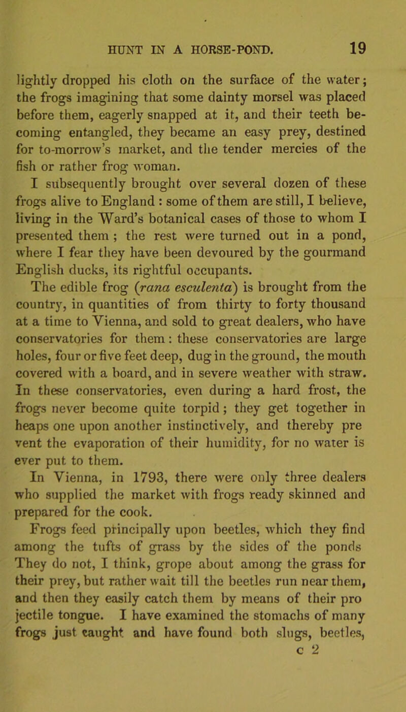 lightly dropped his cloth on the surface of the water; the frogs imagining that some dainty morsel was placed before them, eagerly snapped at it, and their teeth be- coming entangled, they became an easy prey, destined for to-morrow’s market, and the tender mercies of the fish or rather frog woman. I subsequently brought over several dozen of these frogs alive to England : some of them are still, I believe, living in the Ward’s botanical cases of those to whom I presented them ; the rest were turned out in a pond, where I fear they have been devoured by the gourmand English ducks, its rightful occupants. The edible frog (rana esculenta) is brought from the country, in quantities of from thirty to forty thousand at a time to Vienna, and sold to great dealers, who have conservatories for them: these conservatories are large holes, four or five feet deep, dug in the ground, the mouth covered with a board, and in severe weather with straw. In these conservatories, even during a hard frost, the frogs never become quite torpid; they get together in heaps one upon another instinctively, and thereby pre vent the evaporation of their humidity, for no water is ever put to them. In Vienna, in 1793, there were only three dealers who supplied the market with frogs ready skinned and prepared for the cook. Frogs feed principally upon beetles, which they find among the tufts of grass by the sides of the ponds They do not, I think, grope about among the grass for their prey, but rather wait till the beetles run near them, and then they easily catch them by means of their pro jectile tongue. I have examined the stomachs of many frogs just caught, and have found both slugs, beetles, c 2