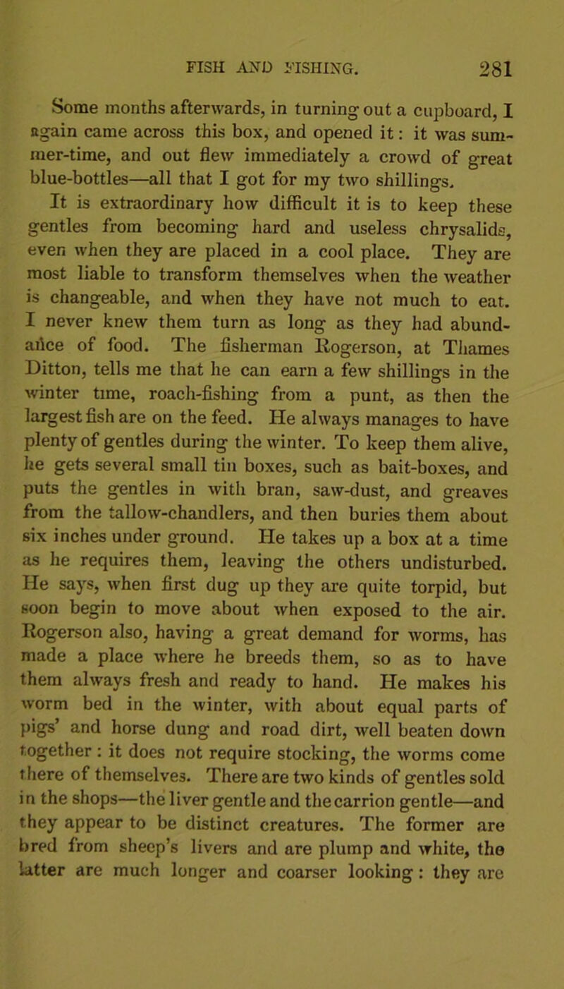 Some months afterwards, in turning-out a cupboard, I again came across this box, and opened it: it was sum, mer-time, and out flew immediately a crowd of great blue-bottles—all that I got for my two shillings. It is extraordinary how difficult it is to keep these gentles from becoming hard and useless chrysalids, even when they are placed in a cool place. They are most liable to transform themselves when the weather is changeable, and when they have not much to eat. I never knew them turn as long as they had abund- ance of food. The fisherman Rogerson, at Thames Ditton, tells me that he can earn a few shillings in the winter time, roach-fishing from a punt, as then the largest fish are on the feed. He always manages to have plenty of gentles during the winter. To keep them alive, he gets several small tin boxes, such as bait-boxes, and puts the gentles in with bran, saw-dust, and greaves from the tallow-chandlers, and then buries them about six inches under ground. He takes up a box at a time as he requires them, leaving the others undisturbed. He says, when first dug up they are quite torpid, but soon begin to move about when exposed to the air. Rogerson also, having a great demand for worms, has made a place where he breeds them, so as to have them always fresh and ready to hand. He makes his worm bed in the winter, with about equal parts of pigs’ and horse dung and road dirt, well beaten down together : it does not require stocking, the worms come there of themselves. There are two kinds of gentles sold in the shops—the liver gentle and thecarrion gentle—and they appear to be distinct creatures. The former are bred from sheep’s livers and are plump and white, the latter are much longer and coarser looking : they are