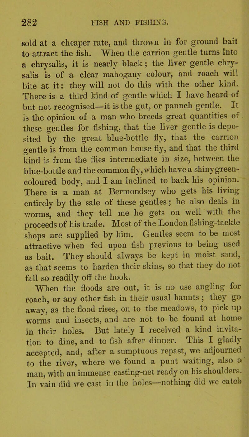 sold at a cheaper rate, and thrown in for ground bait to attract the fish. When the carrion gentle turns into a chrysalis, it is nearly black; the liver gentle chry- salis is of a clear mahogany colour, and roach will bite at it: they will not do this with the other kind. There is a third kind of gentle which I have heard of but not recognised—it is the gut, or paunch gentle. It is the opinion of a man who breeds great quantities of these gentles for fishing, that the liver gentle is depo- sited by the great blue-bottle fly, that the carrion gentle is from the common house fly, and that the third kind is from the flies intermediate in size, between the blue-bottle and the common fly, which have a shiny green- coloured body, and I am inclined to back his opinion. There is a man at Bermondsey who gets his living entirely by the sale of these gentles; he also deals in worms, and they tell me he gets on well with the proceeds of his trade. Most of the London fishing-tackle shops are supplied by him. Gentles seem to be most attractive when fed upon fish previous to being used as bait. They should always be kept in moist sand, as that seems to harden their skins, so that they do not fall so readily off the hook. When the floods are out, it is no use angling for roach, or any other fish in their usual haunts ; they go away, as the flood rises, on to the meadows, to pick up worms and insects, and are not to be found at home in their holes. But lately I received a kind invita- tion to dine, and to fish after dinner. This I gladly accepted, and, after a sumptuous repast, we adjourned to the river, where we found a punt waiting, also a man, with an immense casting-net ready on his shoulders. In vain did we cast in the holes—nothing did we catcli
