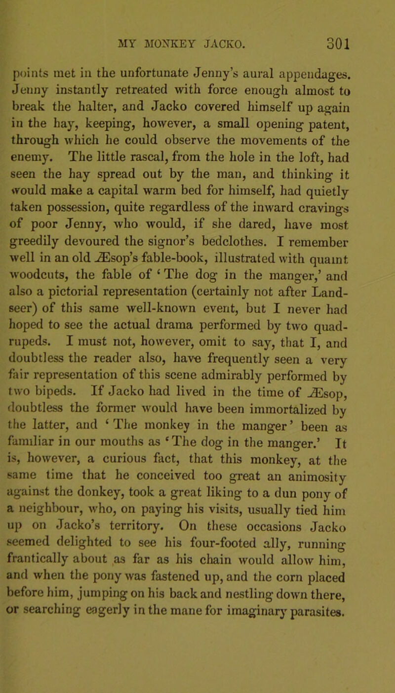 points met in the unfortunate Jenny’s aural appendages. Jenny instantly retreated with force enough almost to break the halter, and Jacko covered himself up again in the hay, keeping, however, a small opening patent, through which he could observe the movements of the enemy. The little rascal, from the hole in the loft, had seen the hay spread out by the man, and thinking it would make a capital warm bed for himself, had quietly taken possession, quite regardless of the inward cravings of poor Jenny, who would, if she dared, have most greedily devoured the signor’s bedclothes. I remember well in an old iEsop’s fable-book, illustrated with quaint woodcuts, the fable of ‘ The dog in the manger,’ and also a pictorial representation (certainly not after Land- seer) of this same well-known event, but I never had hoped to see the actual drama performed by two quad- rupeds. I must not, however, omit to say, that I, and doubtless the reader also, have frequently seen a very fair representation of this scene admirably performed by two bipeds. If Jacko had lived in the time of iEsop, doubtless the former would have been immortalized by the latter, and ‘The monkey in the manger’ been as familiar in our mouths as ‘The dog in the manger.’ It is, however, a curious fact, that this monkey, at the same time that he conceived too great an animosity against the donkey, took a great liking to a dun pony of a neighbour, who, on paying his visits, usually tied him up on Jacko’s territory. On these occasions Jacko seemed delighted to see his four-footed ally, running frantically about as far as his chain would allow him, and when the pony was fastened up, and the corn placed before him, jumping on his back and nestling down there, or searching eagerly in the mane for imaginary parasites.