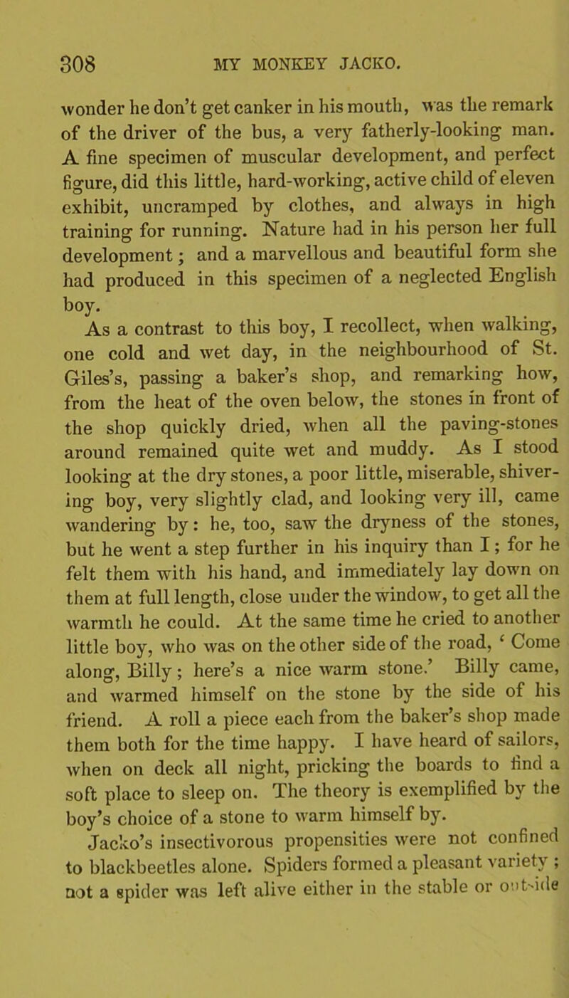 wonder he don’t get canker in his mouth, was the remark of the driver of the bus, a very fatherly-looking man. A fine specimen of muscular development, and perfect figure, did this little, hard-working, active child of eleven exhibit, uncramped by clothes, and always in high training for running. Nature had in his person her full development; and a marvellous and beautiful form she had produced in this specimen of a neglected English boy. As a contrast to this boy, I recollect, when walking, one cold and wet day, in the neighbourhood of St. Giles’s, passing a baker’s shop, and remarking how, from the heat of the oven below, the stones in front of the shop quickly dried, when all the paving-stones around remained quite wet and muddy. As I stood looking at the dry stones, a poor little, miserable, shiver- ing boy, very slightly clad, and looking very ill, came wandering by: he, too, saw the dryness of the stones, but he went a step further in his inquiry than I; for he felt them with his hand, and immediately lay down on them at full length, close under the window, to get all the warmth he could. At the same time he cried to another little boy, who was on the other side of the road, ‘ Come along, Billy; here’s a nice warm stone.’ Billy came, and warmed himself on the stone by the side of his friend. A roll a piece each from the baker’s shop made them both for the time happy. I have heard of sailors, when on deck all night, pricking the boards to find a soft place to sleep on. The theory is exemplified by the boy’s choice of a stone to warm himself by. Jacko’s insectivorous propensities were not confined to blackbeetles alone. Spiders formed a pleasant variety ; not a spider was left alive either in the stable or on Bide