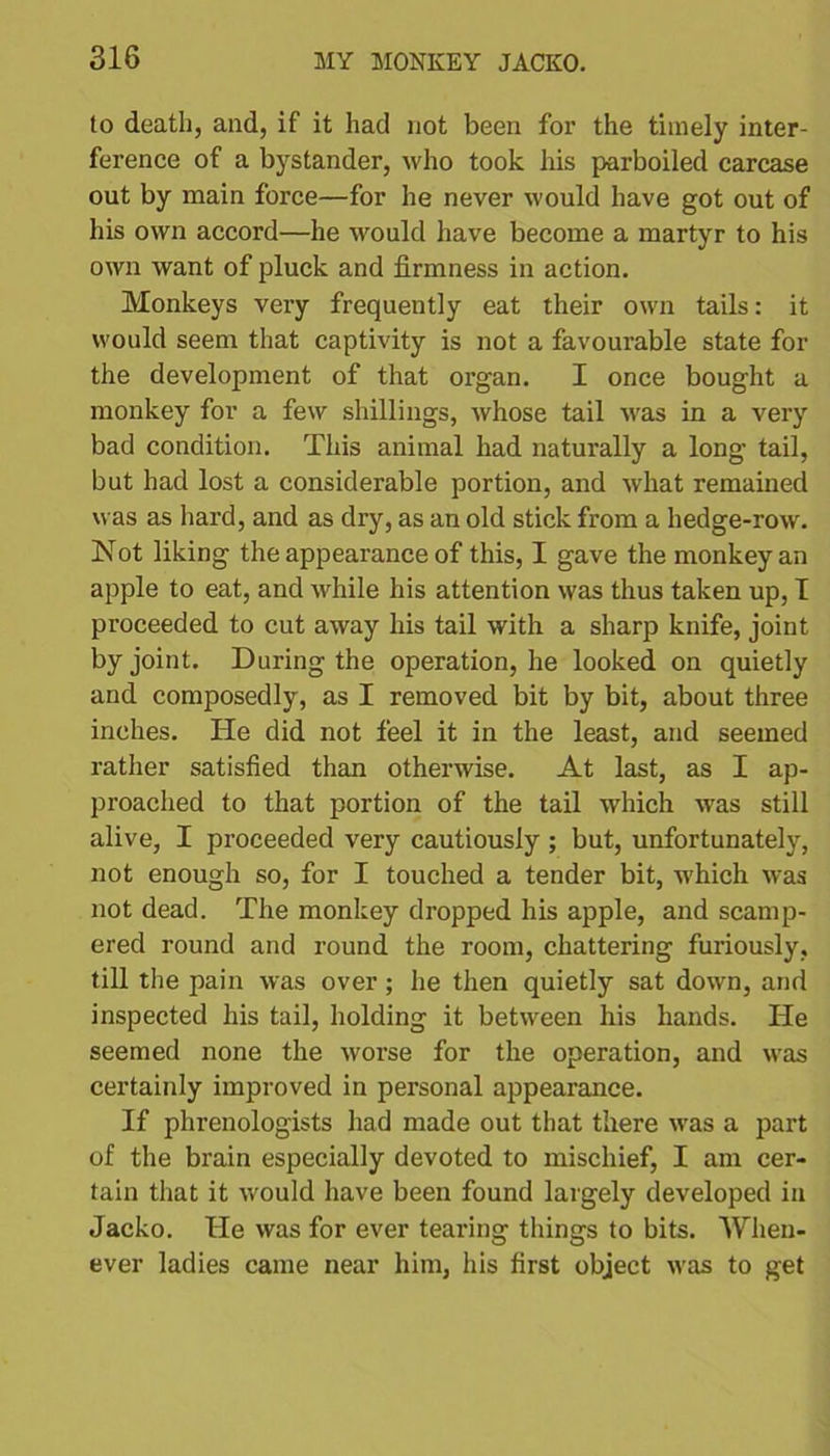 to death, and, if it had not been for the timely inter- ference of a bystander, who took his parboiled carcase out by main force—for he never would have got out of his own accord—he would have become a martyr to his own want of pluck and firmness in action. Monkeys very frequently eat their own tails: it would seem that captivity is not a favourable state for the development of that organ. I once bought a monkey for a few shillings, whose tail was in a very bad condition. This animal had naturally a long tail, but had lost a considerable portion, and what remained was as hard, and as dry, as an old stick from a hedge-row. Not liking the appearance of this, I gave the monkey an apple to eat, and while his attention was thus taken up, I proceeded to cut away his tail with a sharp knife, joint by joint. During the operation, he looked on quietly and composedly, as I removed bit by bit, about three inches. He did not feel it in the least, and seemed rather satisfied than otherwise. At last, as I ap- proached to that portion of the tail which was still alive, I proceeded very cautiously ; but, unfortunately, not enough so, for I touched a tender bit, which was not dead. The monkey dropped his apple, and scamp- ered round and round the room, chattering furiously, till the pain was over; he then quietly sat down, and inspected his tail, holding it between his hands. He seemed none the worse for the operation, and was certainly improved in personal appearance. If phrenologists had made out that there was a part of the brain especially devoted to mischief, I am cer- tain that it would have been found largely developed in Jacko. He was for ever tearing things to bits. When- ever ladies came near him, his first object was to get