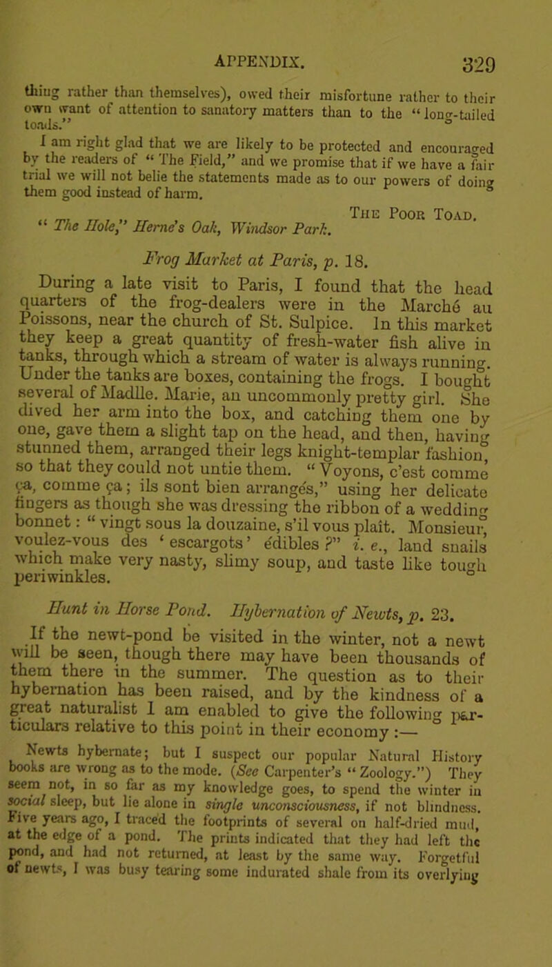 thiug rather than themselves), owed their misfortune rather to their own want of attention to sanatory matters than to the “ lon<r-tui!ed toads.” ° I am right glad that we are likely to be protected and encouraged by the readers of “ The Field,” and we promise that if we have a fair trial we will not belie the statements made as to our powers of doing them good instead of harm. n “ The Holel’ Herne’s Oak, Windsor Park. The Poop. Toad. Frog Market at Paris, p. 18. During a late visit to Paris, I found that the head quarters of the frog-dealers were in the Marche au Poissons, near the church of St. Sulpice. In this market they keep a great quantity of fresh-water fish alive in tanks, thiough which a stream of water is always running. Under the tanks are boxes, containing the frogs. I bought several of Madlle. Marie, an uncommonly pretty girl. She dived her arm into the box, and catching them one by gave them a slight tap on the head, and then, having stunned them, arranged their legs knight-templar fashion so that they could not untie them. “ Voyons, c’est comme ya, comme ya; ils sont bien arranges,” using her delicate fingers as though she was dressing the ribbon of a weddin^ bonnet: “ vingt sous la douzaine, s’il vous plait. Monsieur1 voulez-vous des ‘ escargots ’ edibles ?” i. e., laud snails which make very nasty, slimy soup, and taste like tou<di periwinkles. Hunt in Horse Pond. Hybernation of Newts, p, 23. If the newt-pond be visited in the winter, not a newt will be seen, though there may have been thousands of them there in the summer. The question as to their hybernation has been raised, and by the kindness of a great naturalist 1 am enabled to give the following par- ticulars relative to this point in their economy :— ° Newts hybernate; but I suspect our popular Natural History books are wrong as to the mode. (Sec Carpenter’s “ Zoology.”) They seem not, in so far as my knowledge goes, to spend the winter in social sleep, but lie alone in single unconsciousness, if not blindness. Five years ago, I traced the footprints of several on half-dried mud, at the edge of a pond. The prints indicated that they had left the pond, and had not returned, at least by the same way. Forgetful ot newts, I was busy tearing some indurated shale from its overlying