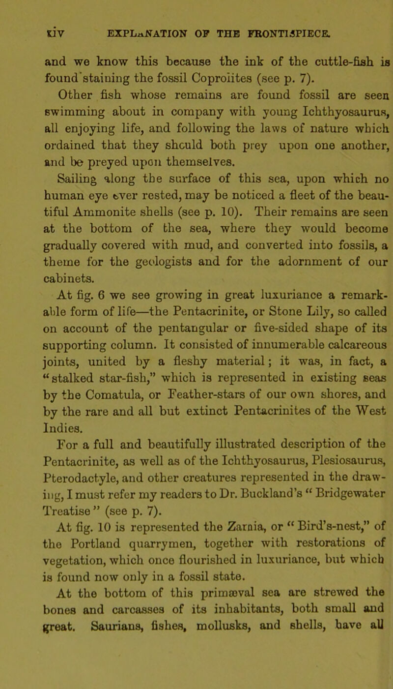 and we know this because the ink of the cuttle-fish is found'staiuing the fossil Coproiites (see p. 7). Other fish whose remains are found fossil are seen swimming about in company with young Ichthyosaurus, all enjoying life, and following the laws of nature which ordained that they should both prey upon one another, and be preyed upon themselves. Sailing along the surface of this sea, upon which no human eye ever rested, may be noticed a fleet of the beau- tiful Ammonite shells (see p. 10). Their remains are seen at the bottom of the sea, where they would become gradually covered with mud, and converted into fossils, a theme for the geologists and for the adornment of our cabinets. At fig. 6 we see growing in great luxuriance a remark- able form of life—the Pentacrinite, or Stone Lily, so called on account of the pentangular or five-sided shape of its supporting column. It consisted of innumerable calcareous joints, united by a fleshy material; it was, in fact, a “stalked star-fish,” which is represented in existing seas by the Comatula, or Feather-stars of our own shores, and by the rare and all but extinct Pentacrinites of the West Indies. For a full and beautifully illustrated description of the Pentacrinite, as well as of the Ichthyosaurus, Plesiosaurus, Pterodact.yle, and other creatures represented in the draw- ing, I must refer my readers to Dr. Buckland’s “ Bridgewater Treatise ” (see p. 7). At fig. 10 is represented the Zarnia, or “ Bird’s-nest,” of the Portland quarrymen, together with restorations of vegetation, which once flourished in luxuriance, but which is found now only in a fossil state. At the bottom of this primaeval sea are strewed the bones and carcasses of its inhabitants, both small and great. Saurians, fishes, mollusks, and shells, have all