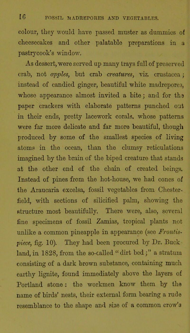 IG FOSSIL, MADREPORES AND VEGETABLES. colour, they would have passed muster as dummies of cheesecakes and other palatable preparations in a pastrycook’s window. As dessert, were served up many trays full of preserved crab, not apples, but crab creatures, viz. Crustacea; instead of candied ginger, beautiful white madrepores, whose appearance almost invited a bite; and for the paper crackers with elaborate patterns punched out in their ends, pretty lacework corals, whose patterns were far more delicate and far more beautiful, though produced by some of the smallest species of living atoms in the ocean, than the clumsy reticulations imagined by the brain of the biped creature that stands at the other end of the chain of created beings. Instead of pines from the hot-house, we had cones of the Araucaria excelsa, fossil vegetables from Chester- field, -with sections of silicified palm, showing the structure most beautifully. There were, also, several fine specimens of fossil Zamias, tropical plants not unlike a common pineapple in appearance (see Frontis- piece, fig. 10). They had been procured by Dr. Buck land, in 1828, from the so-called “ dirt beda stratum consisting of a dark brown substance, containing much earthy lignite, found immediately above the layers of Portland stone: the workmen know them by the name of birds’ nests, their external form bearing a rude resemblance to the shape and size of a common crow’3