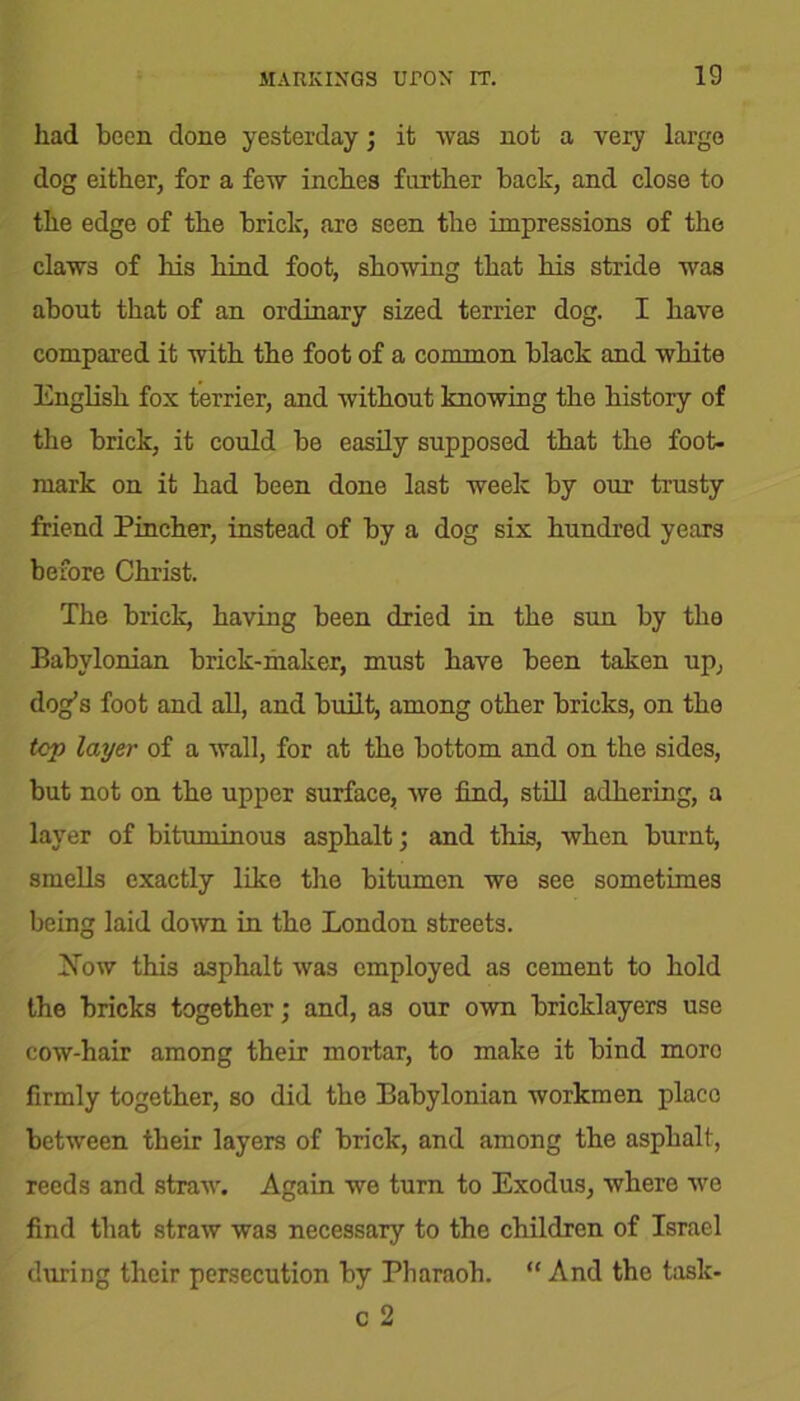 had been done yesterday; it was not a very largo dog either, for a few inches further back, and close to the edge of the brick, are seen the impressions of the claws of his hind foot, showing that his stride was about that of an ordinary sized terrier dog. I have compared it with the foot of a common black and white English fox terrier, and without knowing the history of the brick, it could be easily supposed that the foot- mark on it had been done last week by our trusty friend Pincher, instead of by a dog six hundred years before Christ. The brick, having been dried in the sun by the Babylonian brick-maker, must have been taken up, dog’s foot and all, and built, among other bricks, on the top layer of a wall, for at the bottom and on the sides, but not on the upper surface, we find, still adhering, a layer of bituminous asphalt; and this, when burnt, smells exactly like the bitumen we see sometimes being laid down in the London streets. Jfow this asphalt was employed as cement to hold the bricks together; and, as our own bricklayers use cow-hair among their mortar, to make it bind more firmly together, so did the Babylonian workmen place between their layers of brick, and among the asphalt, reeds and straw. Again we turn to Exodus, where we find that straw was necessary to the children of Israel during their persecution by Pharaoh. “ And the taslc- c 2