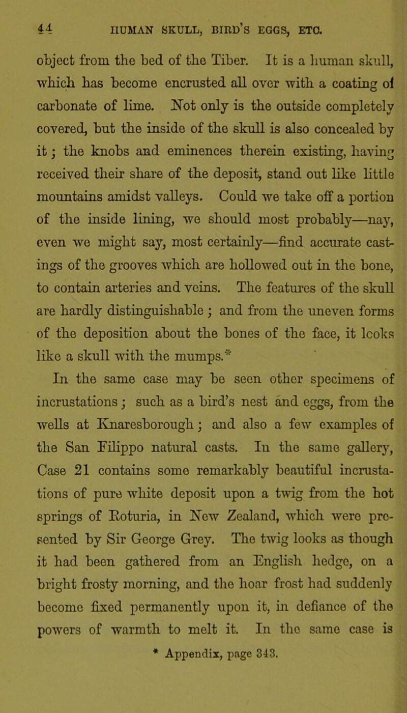 object from the bed of the Tiber. It is a human skull, which has become encrusted all over with a coating ol carbonate of lime. Hot only is the outside completely covered, but the inside of the skull is also concealed by it; the knobs and eminences therein existing, having received their share of the deposit, stand out like little mountains amidst valleys. Could we take off a portion of the inside lining, we should most probably—nay, even we might say, most certainly—find accurate cast- ings of the grooves which are hollowed out in the bone, to contain arteries and veins. The features of the skull are hardly distinguishable ; and from the uneven forms of the deposition about the bones of the face, it Icoks like a skull with the mumps.* In the same case may be seen other specimens of incrustations; such as a bird’s nest and eggs, from the wells at Knaresborougli; and also a few examples of the San Filippo natural casts. In the same gallery, Case 21 contains some remarkably beautiful incrusta- tions of pure white deposit upon a twig from the hot springs of Eoturia, in Hew Zealand, which were pre- sented by Sir George Grey. The twig looks as though it had been gathered from an English hedge, on a bright frosty morning, and the hoar frost had suddenly become fixed permanently upon it, in defiance of the powers of warmth to melt it. In the same case is