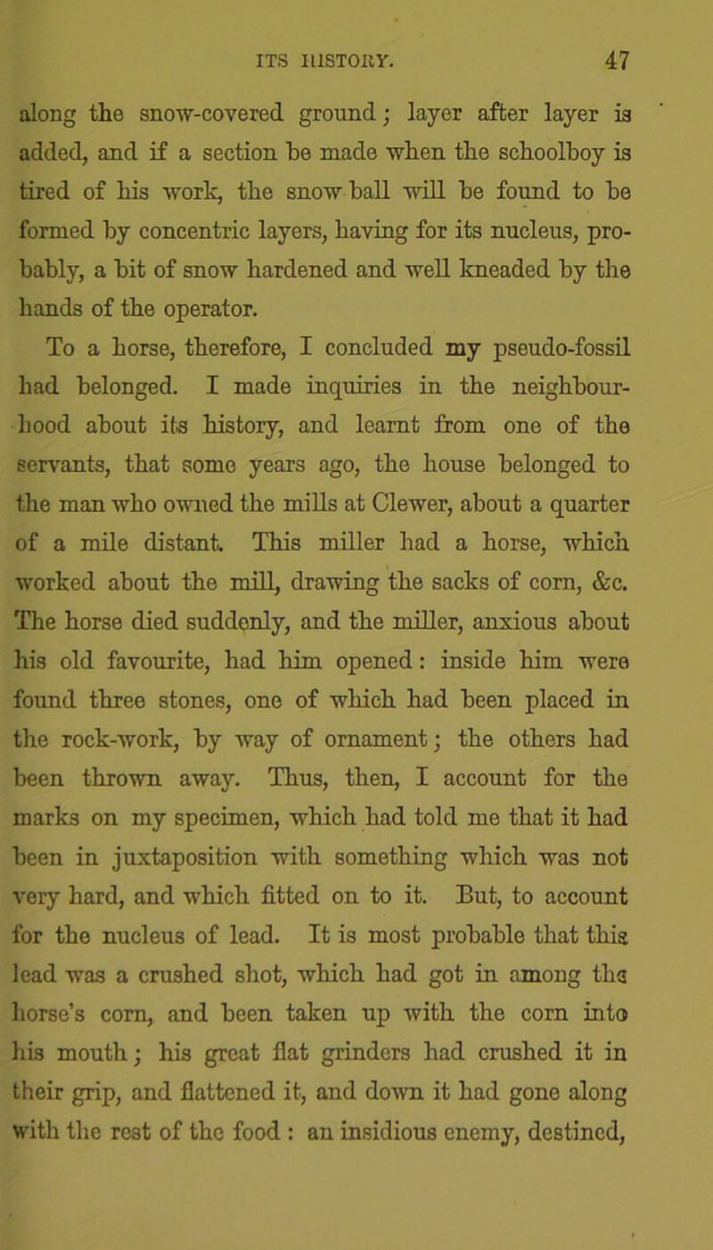 along the snow-covered ground; layer after layer is added, and if a section be made when the schoolboy is tired of his work, the snow ball will be found to be formed by concentric layers, having for its nucleus, pro- bably, a bit of snow hardened and well kneaded by the hands of the operator. To a horse, therefore, I concluded my pseudo-fossil had belonged. I made inquiries in the neighbour- hood about its history, and learnt from one of the servants, that some years ago, the house belonged to the man who owned the mills at Clewer, about a quarter of a mile distant. This miller had a horse, which worked about the mill, drawing the sacks of corn, &c. The horse died suddenly, and the miller, anxious about his old favourite, had him opened: inside him were found three stones, one of which had been placed in the rock-work, by way of ornament; the others had been thrown away. Thus, then, I account for the marks on my specimen, which had told me that it had been in juxtaposition with something which was not very hard, and which fitted on to it. But, to account for the nucleus of lead. It is most probable that this lead was a crushed shot, which had got in among tlia horse’s corn, and been taken up with the corn into his mouth; his great fiat grinders had crushed it in their grip, and flattened it, and down it had gone along with the rest of the food : an insidious enemy, destined,